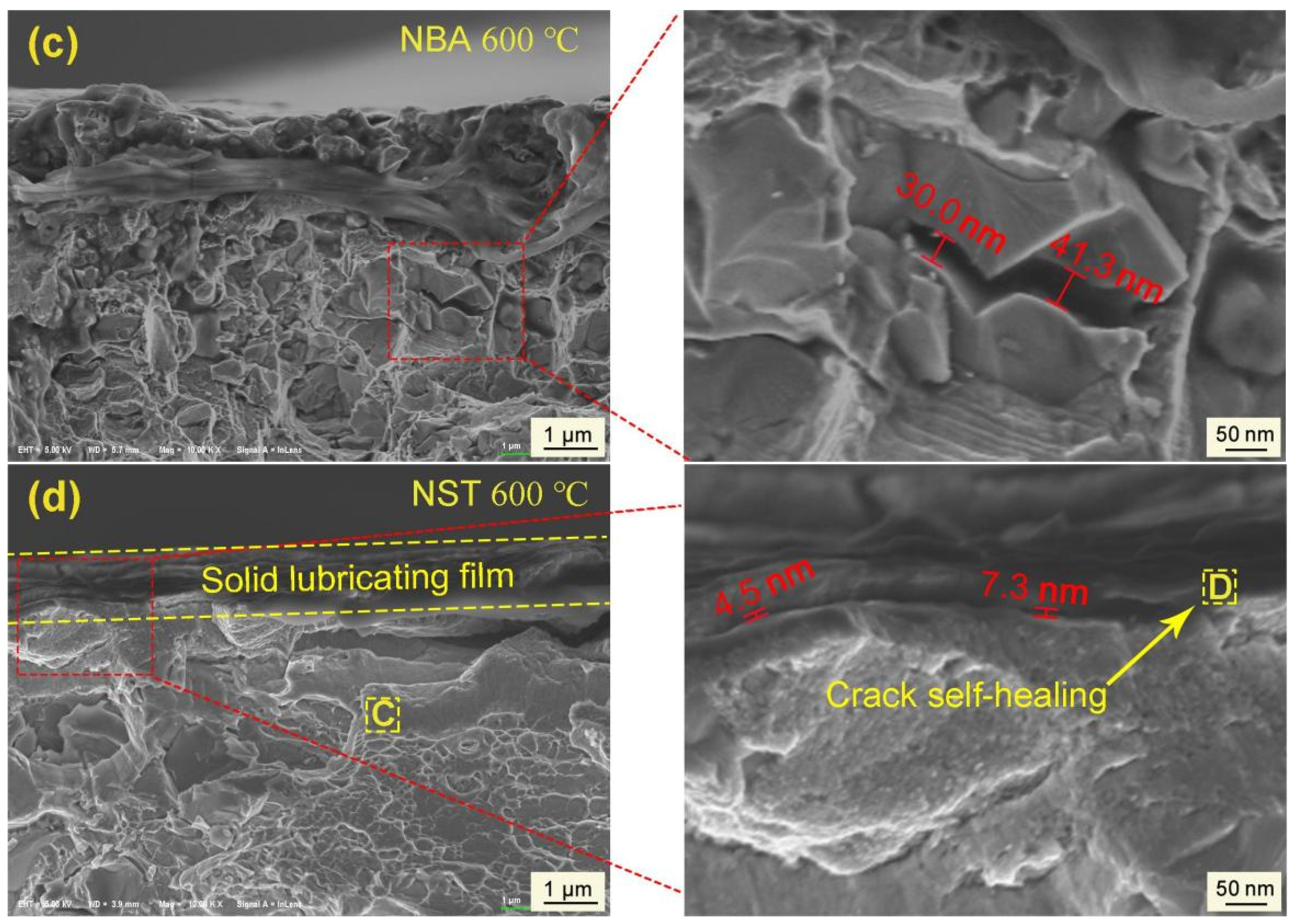 Coatings 13 00711 g013b