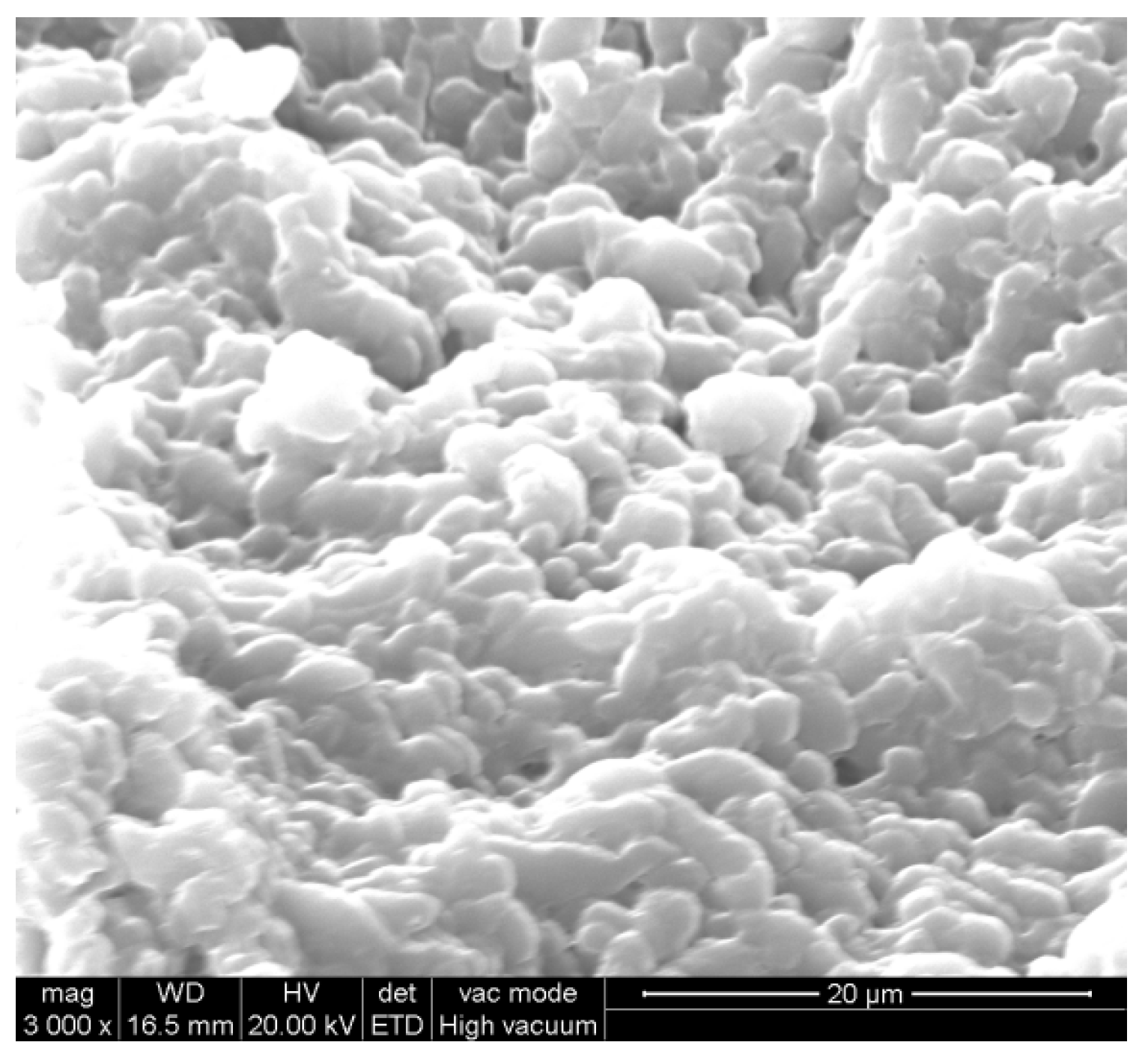 Coatings 13 00714 g005 Coatings 13 00714 g005