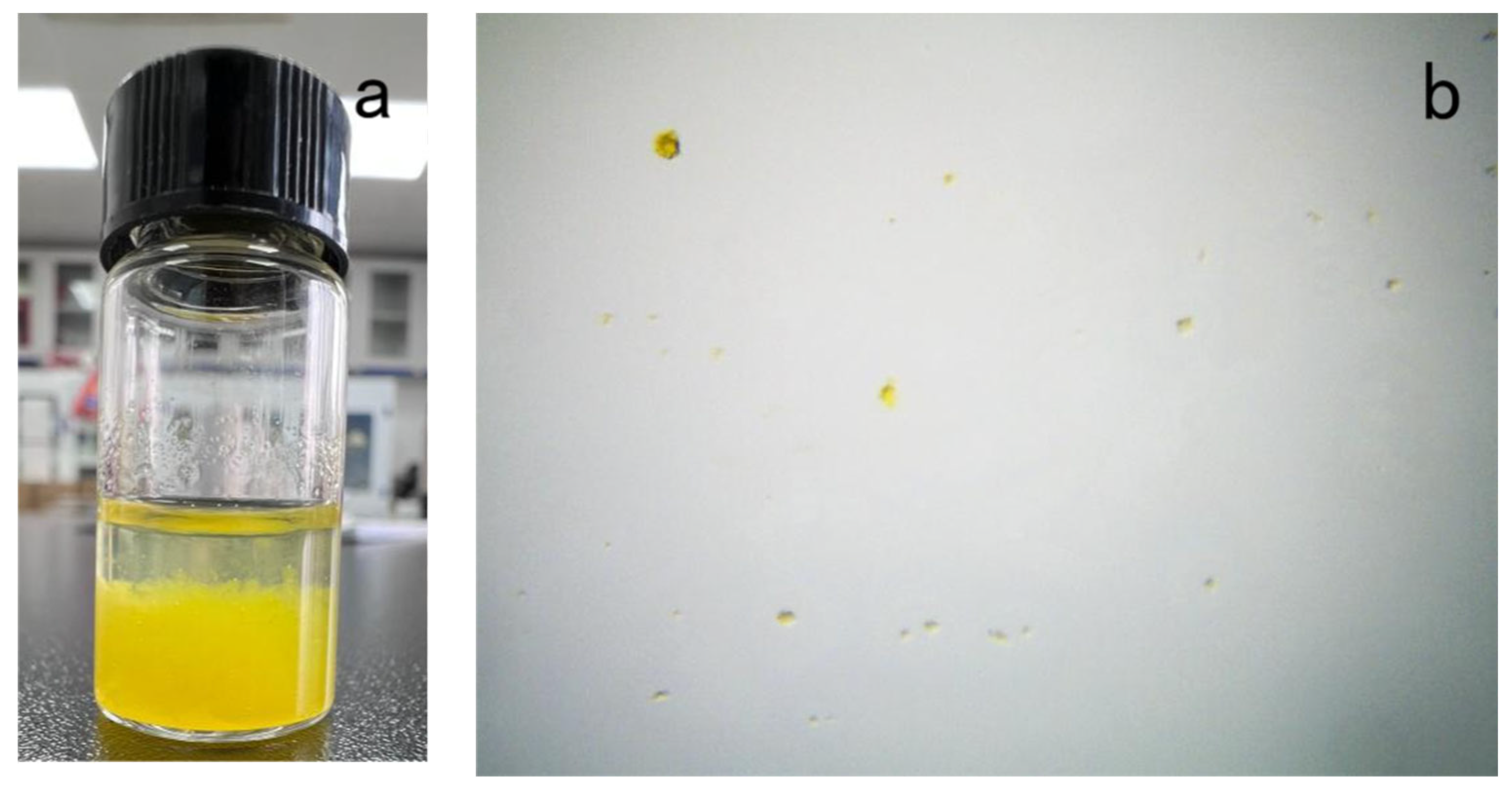 Coatings 13 00714 g006 Coatings 13 00714 g006