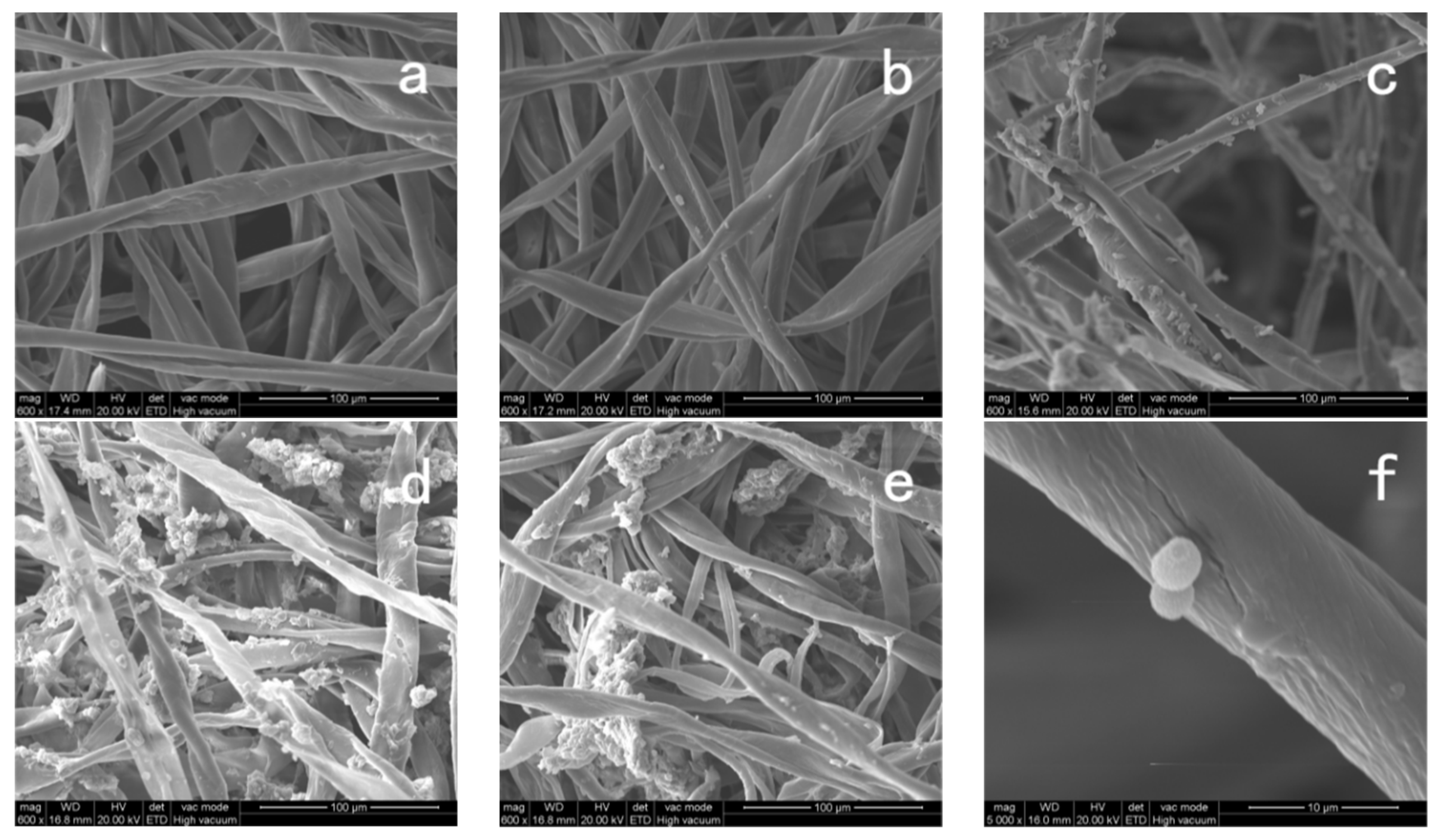 Coatings 13 00714 g011 Coatings 13 00714 g011