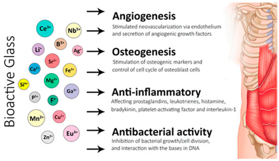 Coatings 13 00716 g003