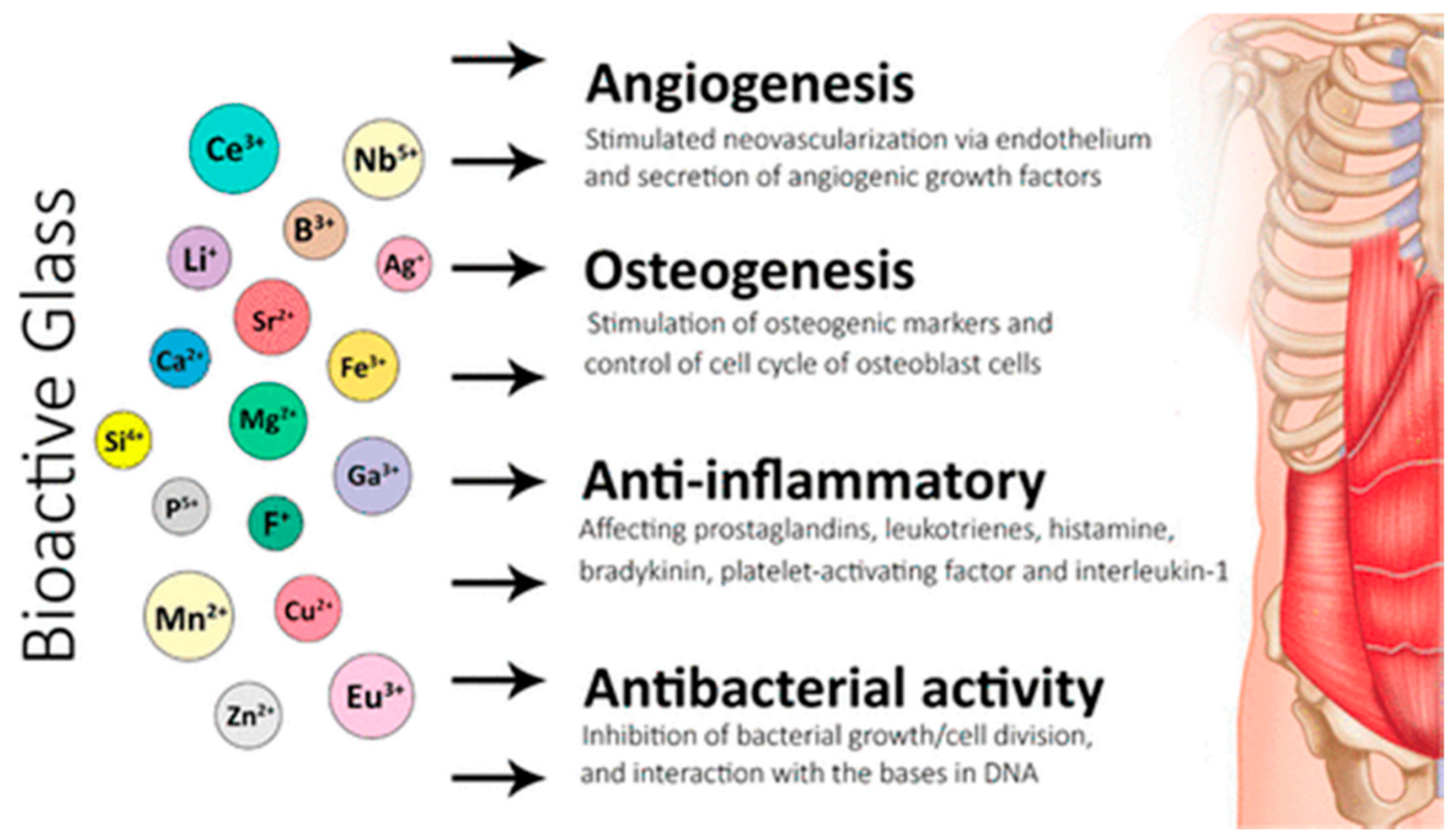 Coatings 13 00716 g003