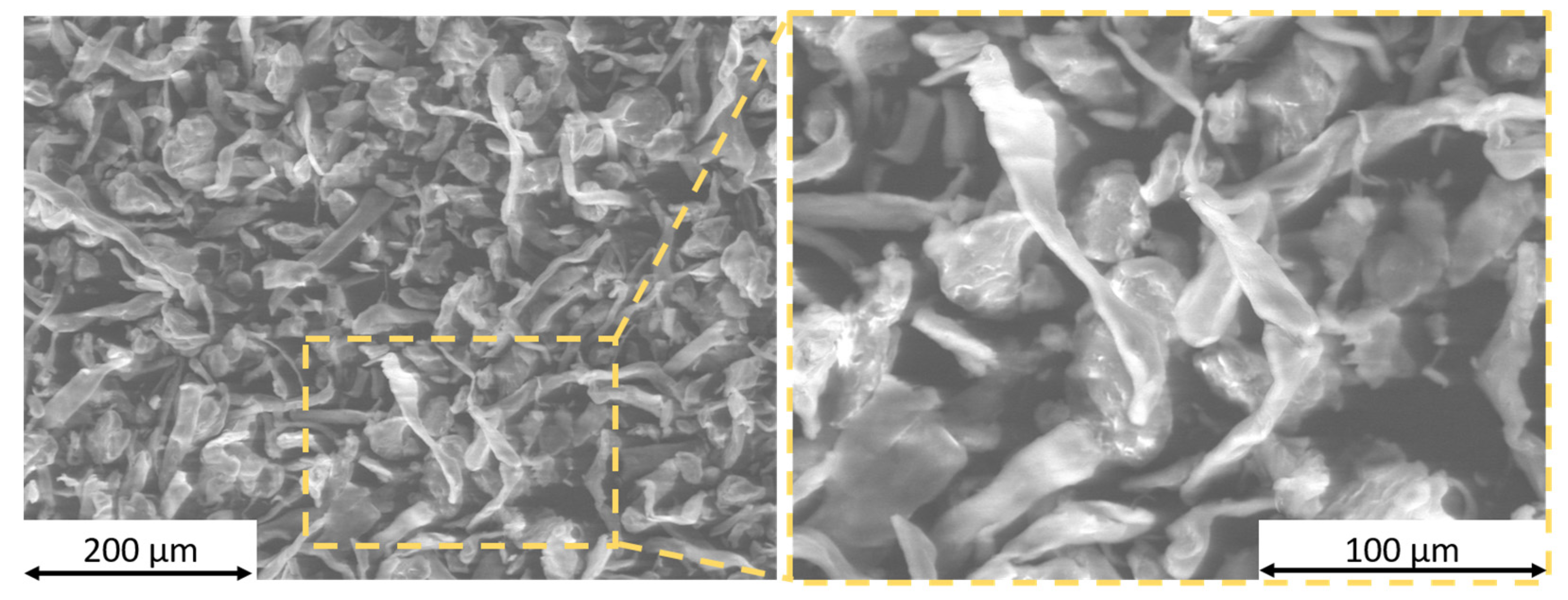 Coatings 13 00721 g001