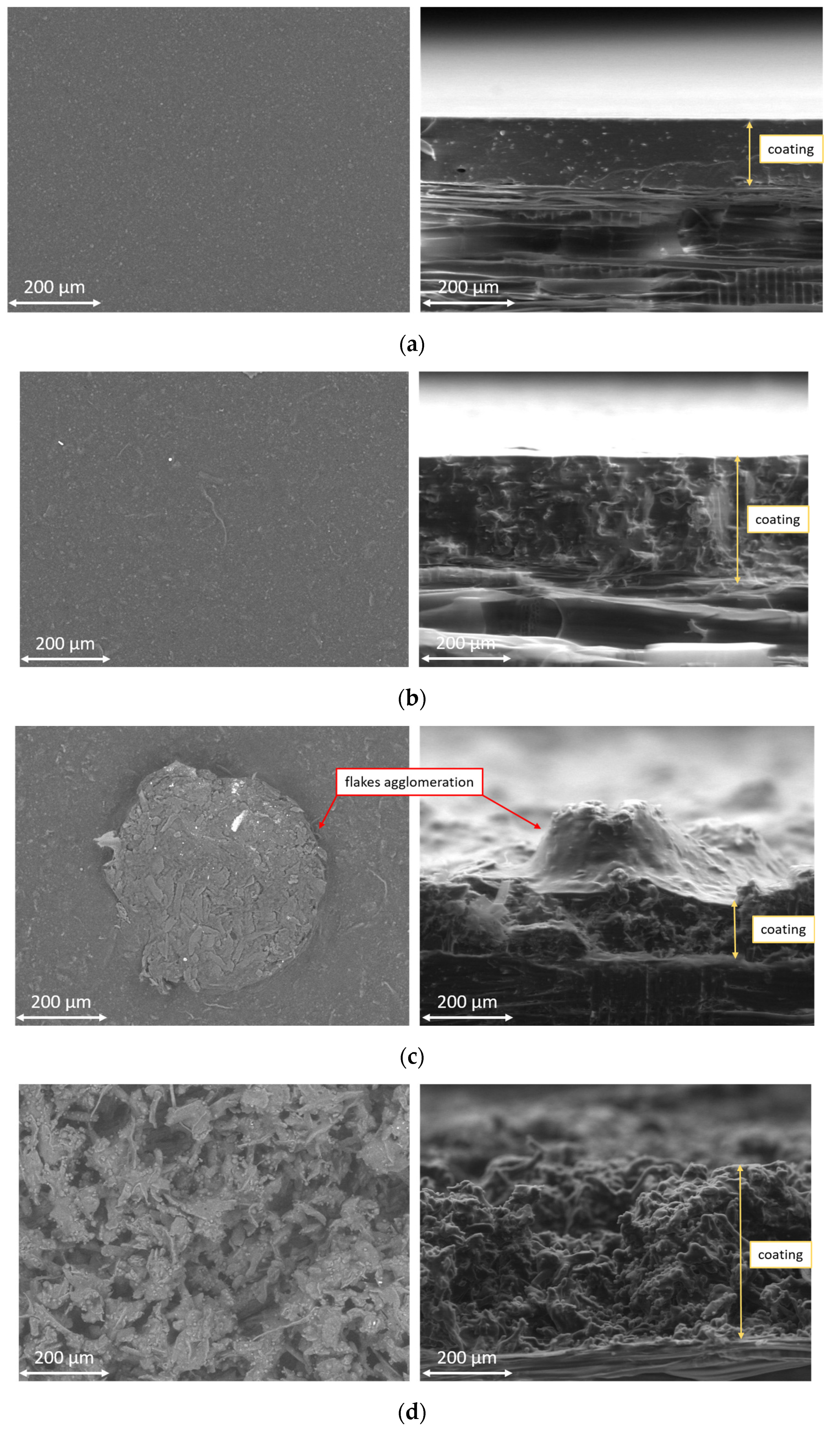Coatings 13 00721 g002
