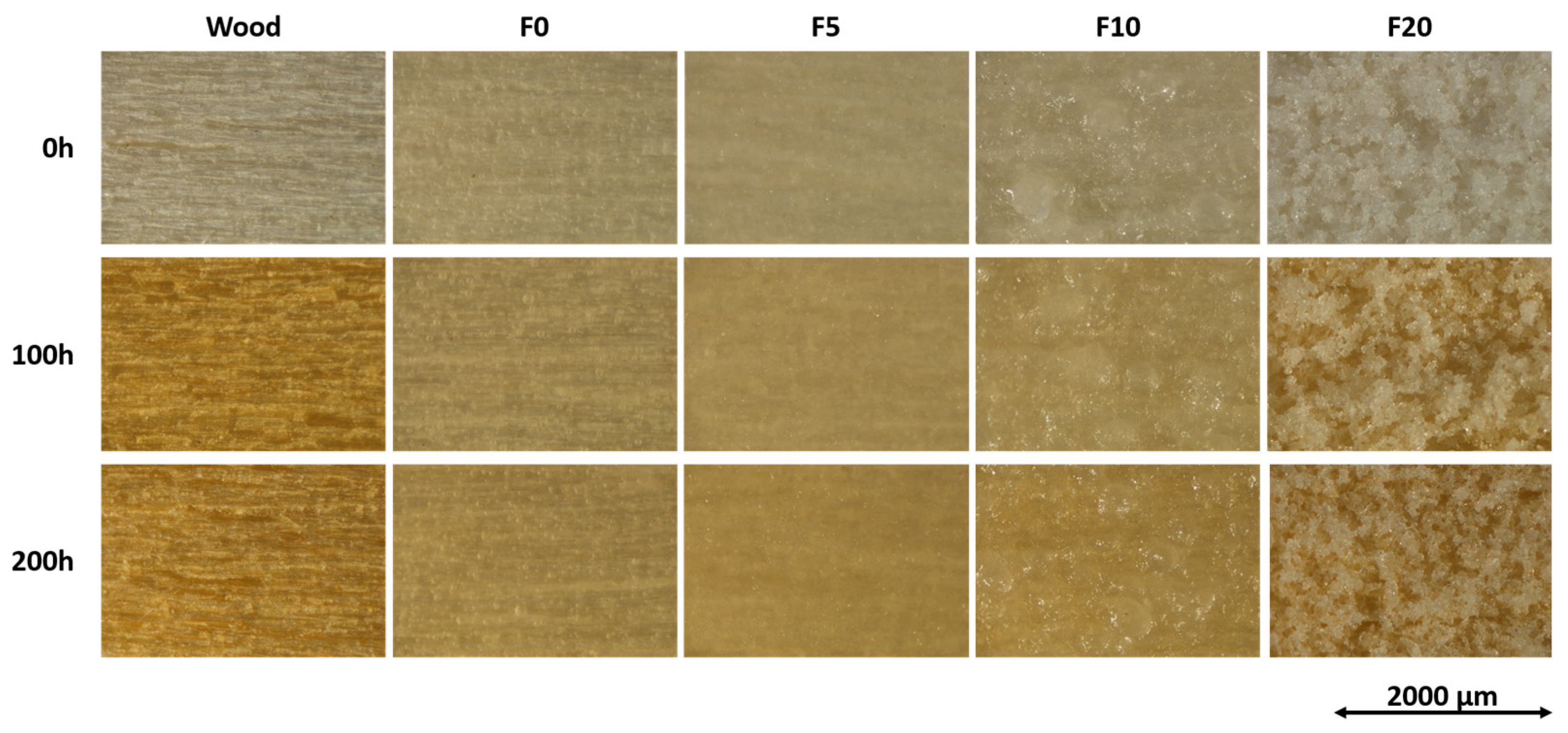 Coatings 13 00721 g004