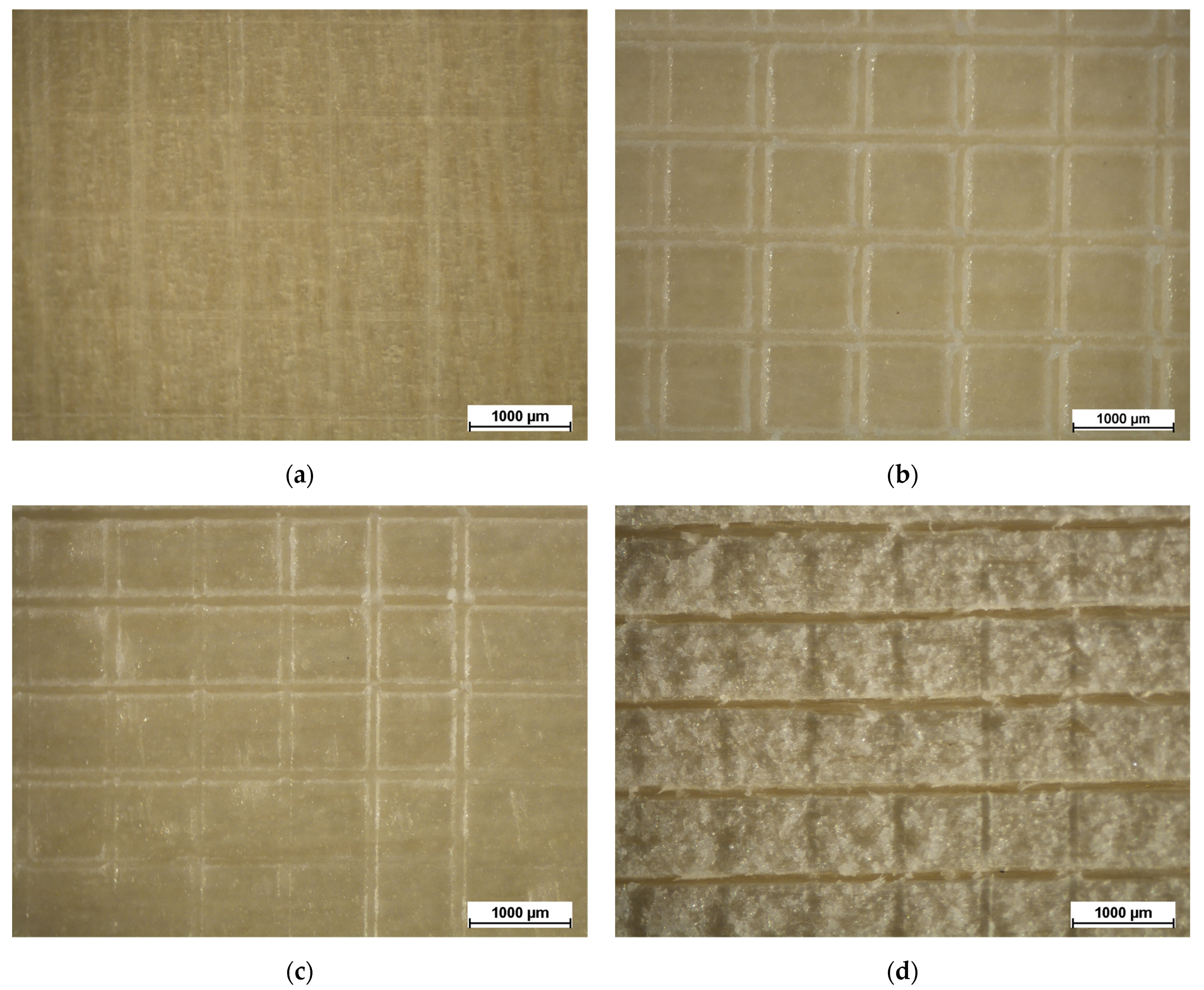 Coatings 13 00721 g007