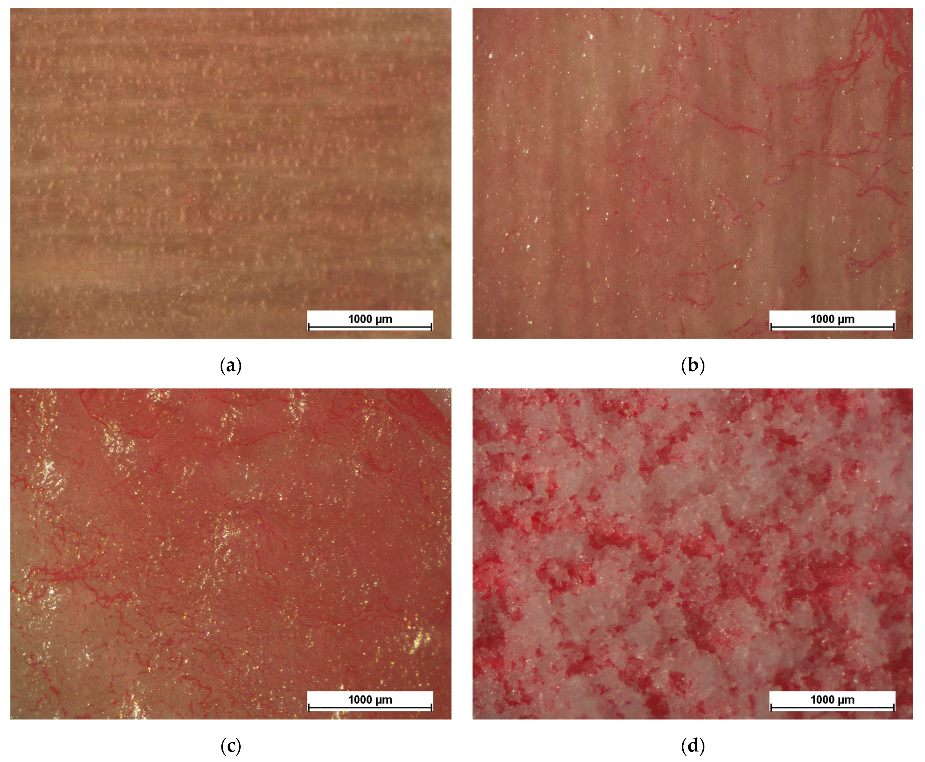 Coatings 13 00721 g009