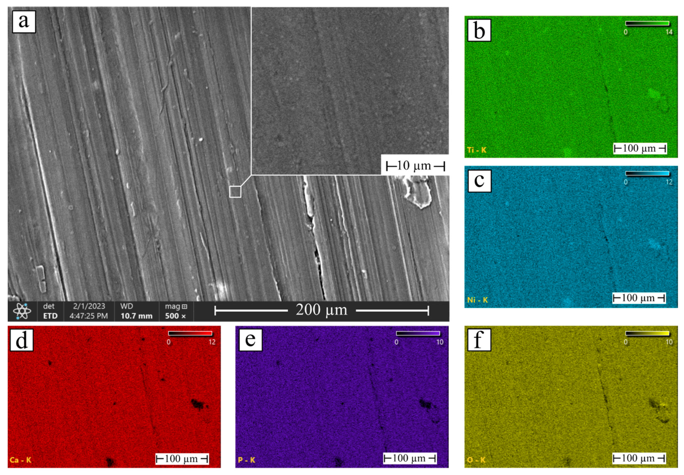 Coatings 13 00722 g002