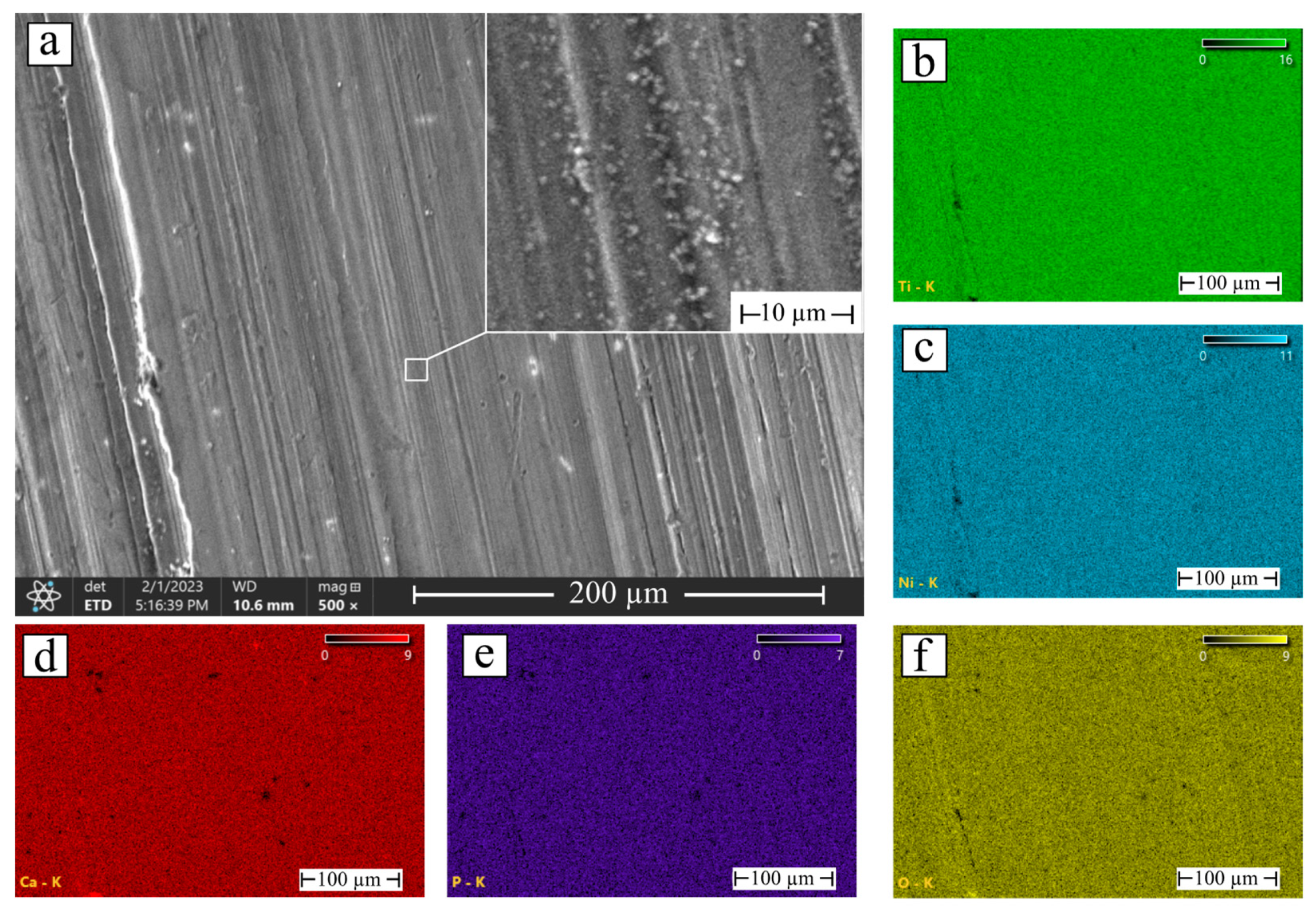 Coatings 13 00722 g003