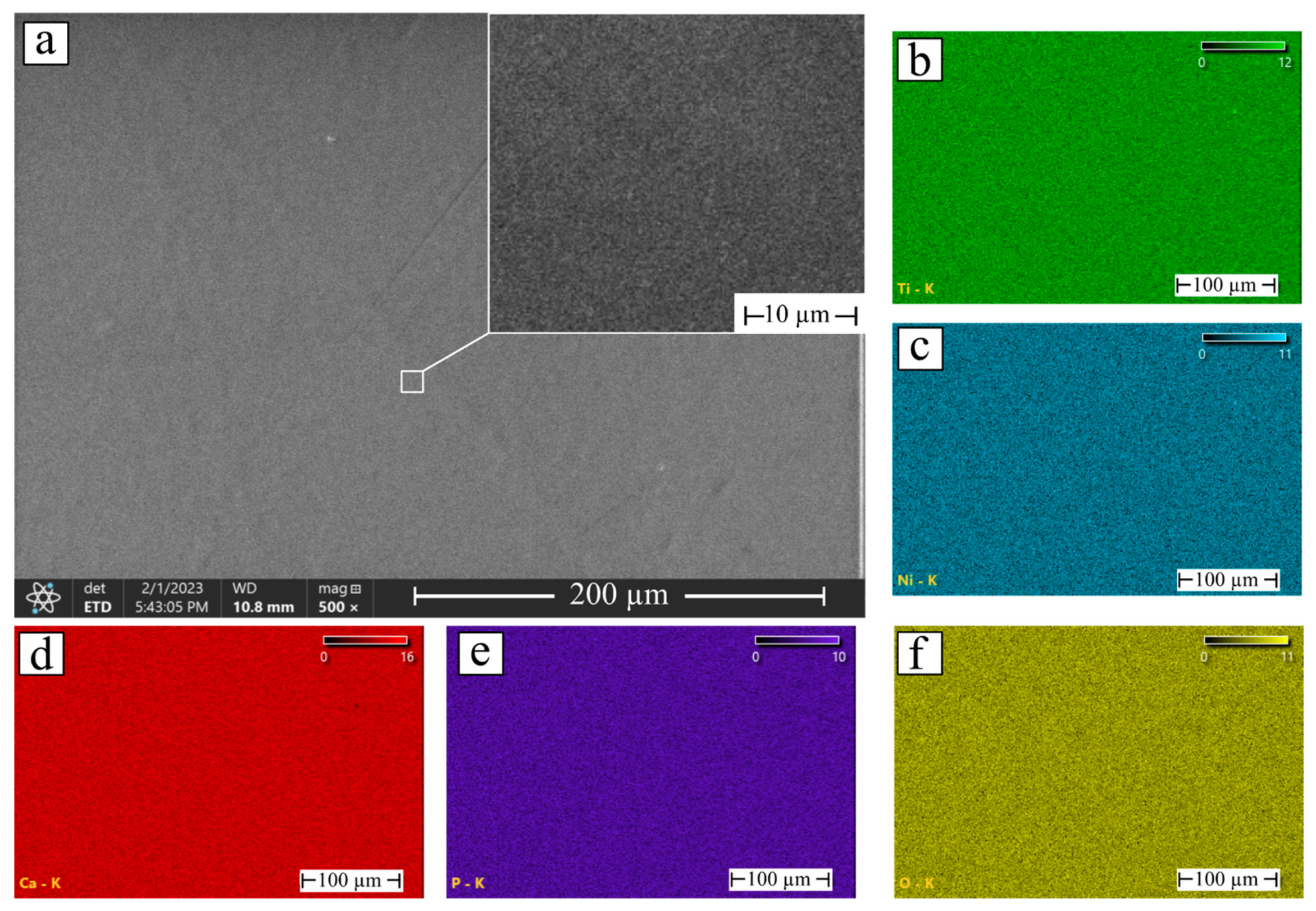 Coatings 13 00722 g004