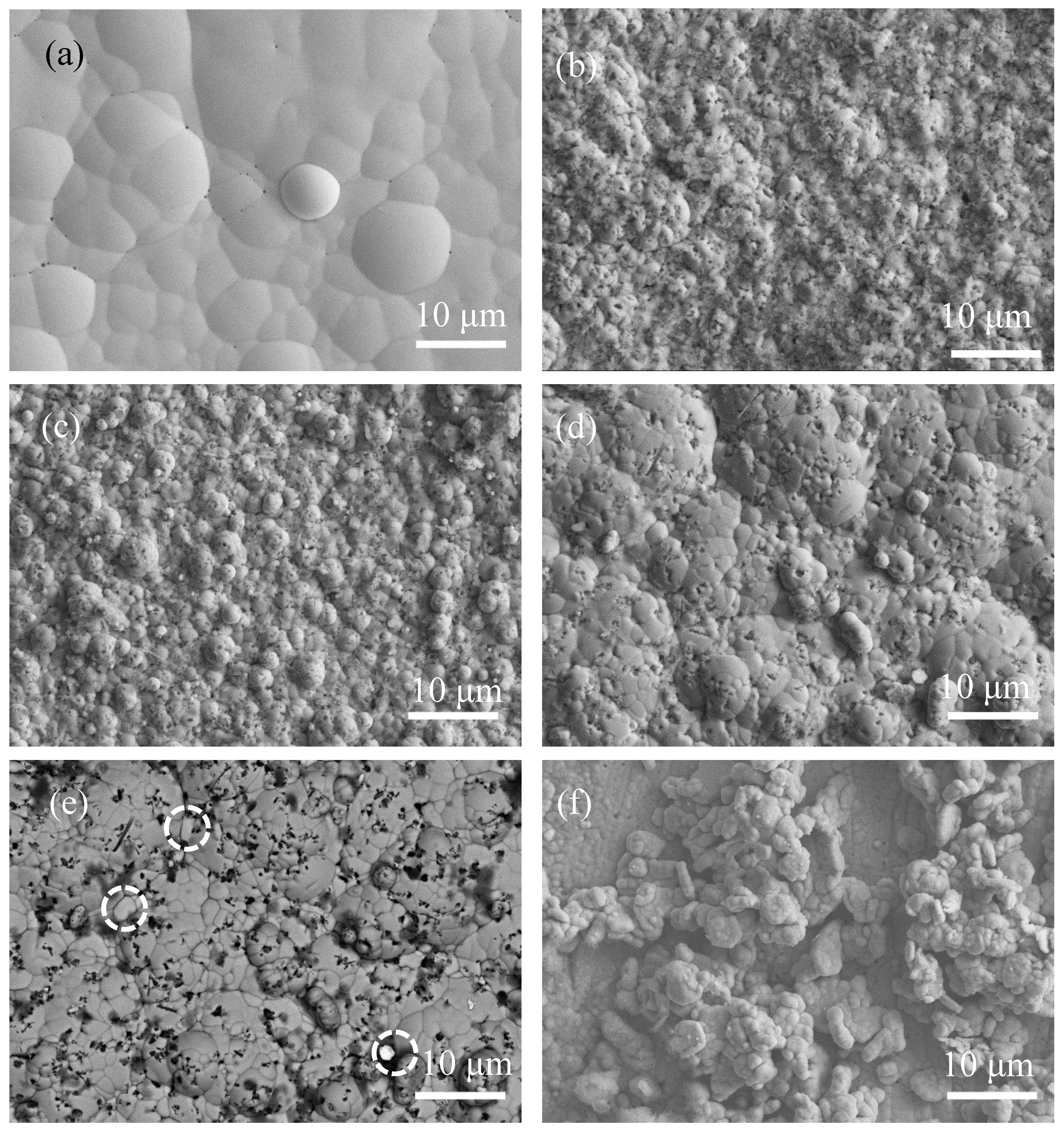 Coatings 13 00723 g002