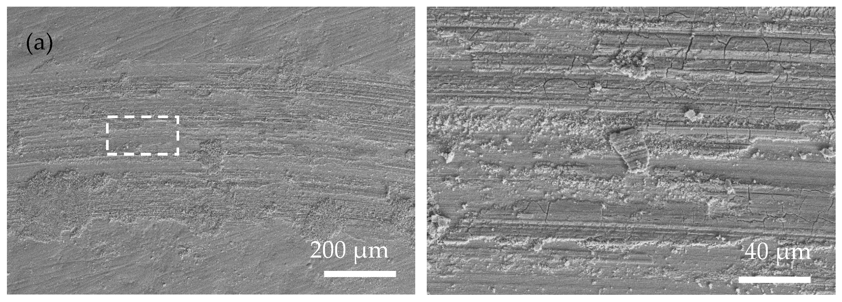 Coatings 13 00723 g006a