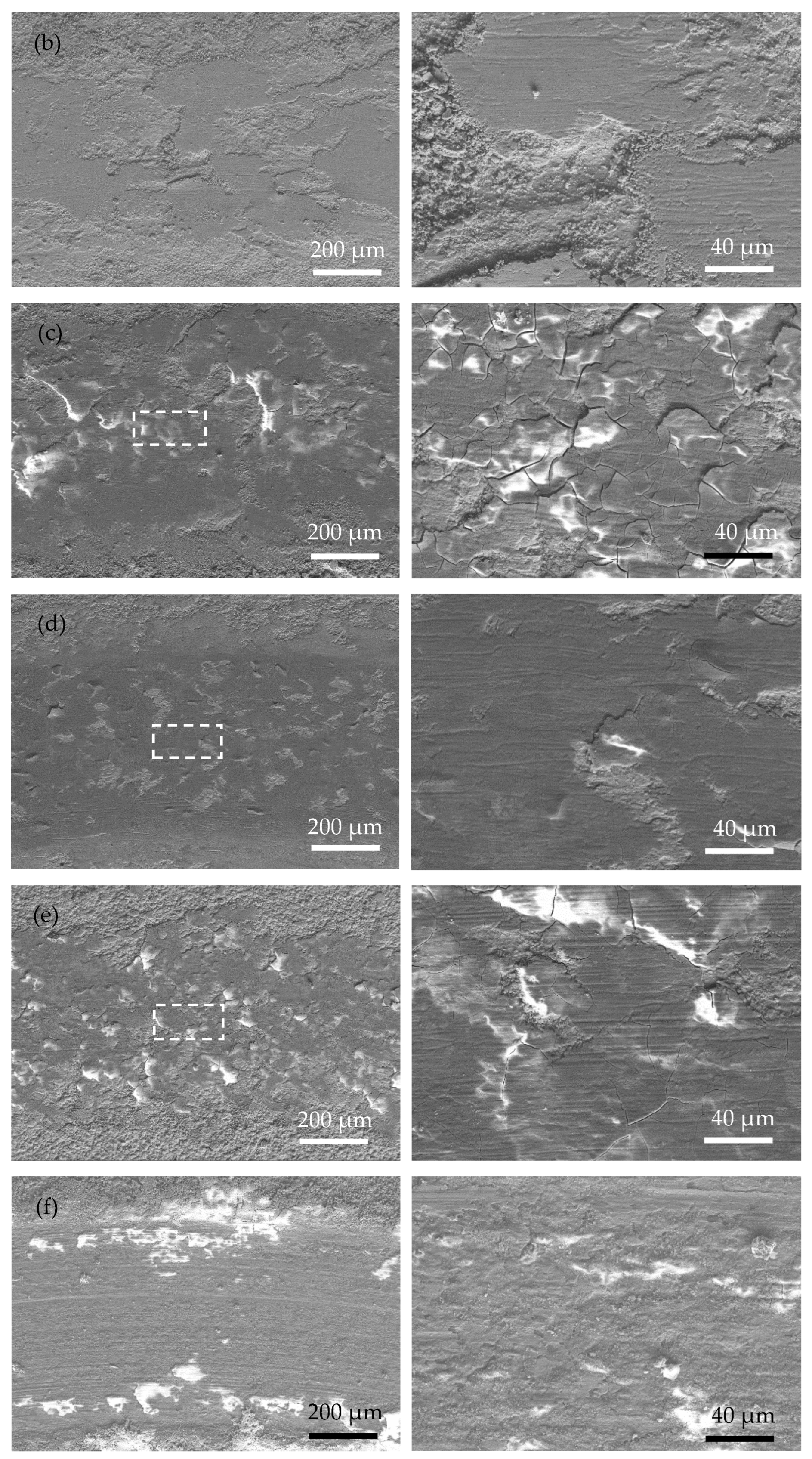 Coatings 13 00723 g006b