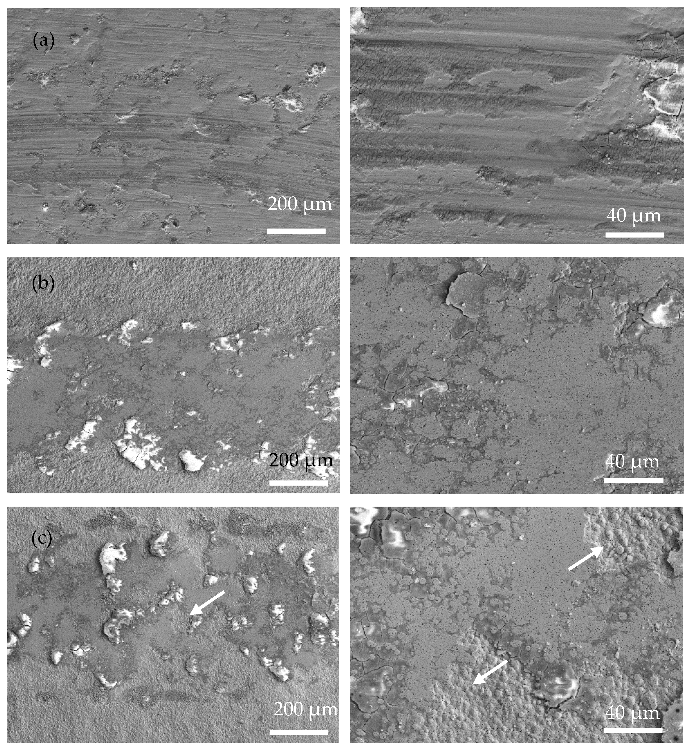 Coatings 13 00723 g007a