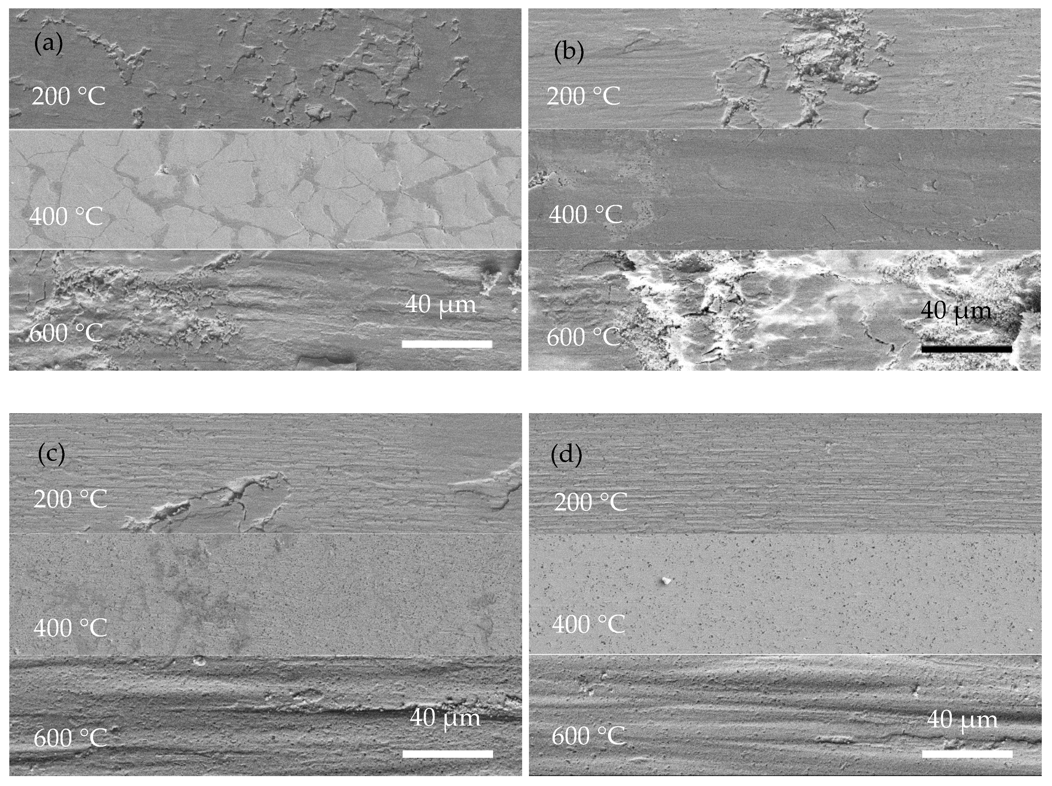 Coatings 13 00723 g009