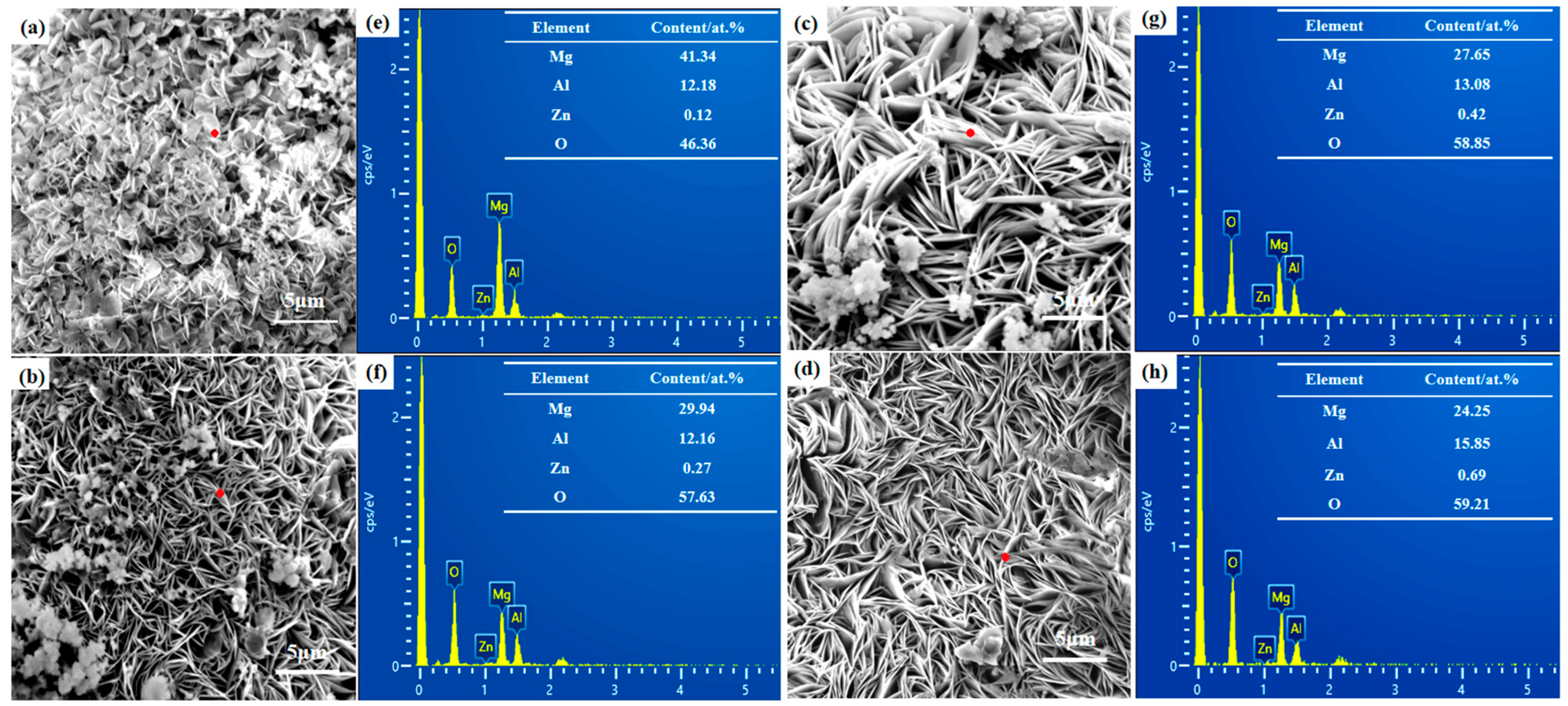 Coatings 13 00724 g002
