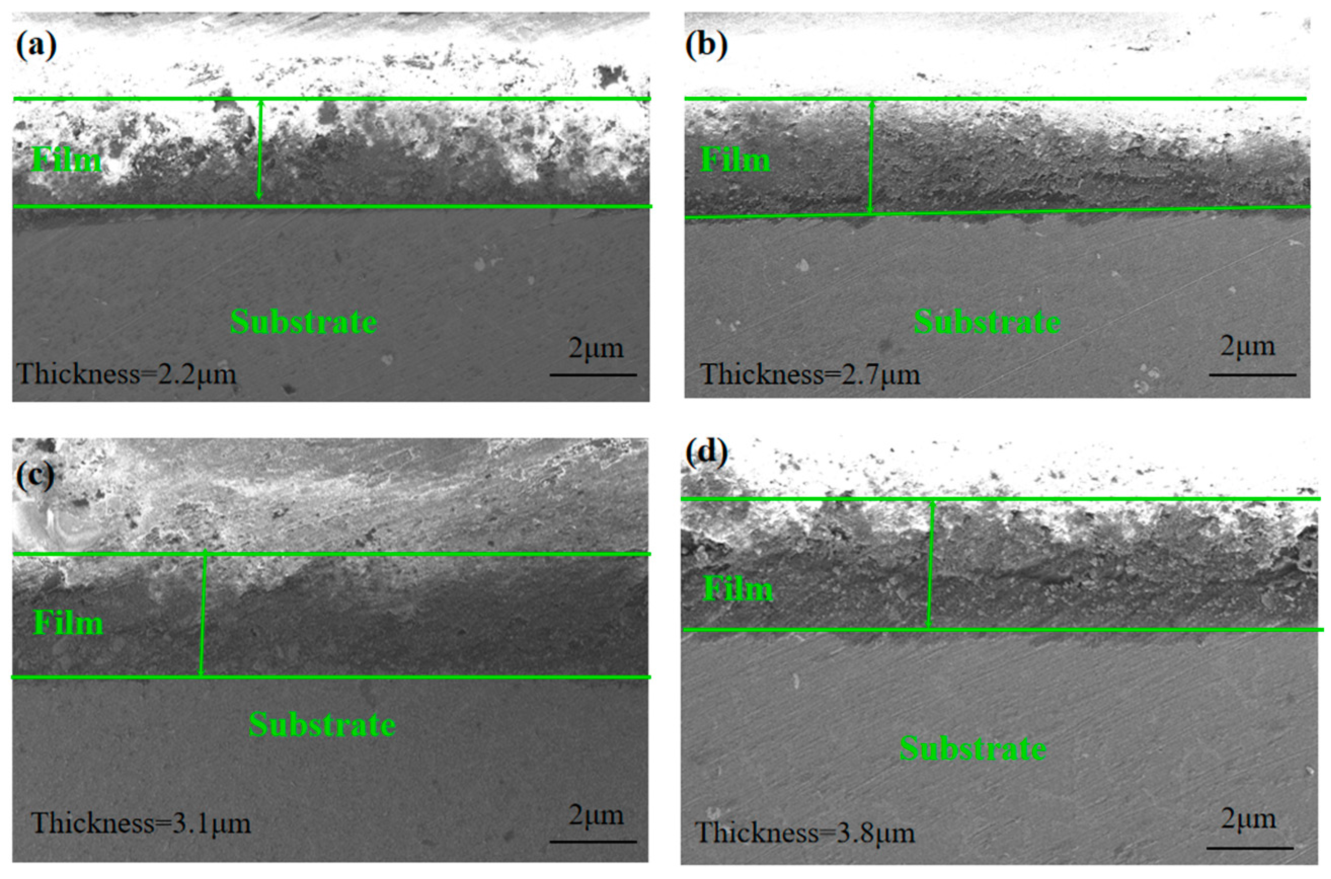 Coatings 13 00724 g004