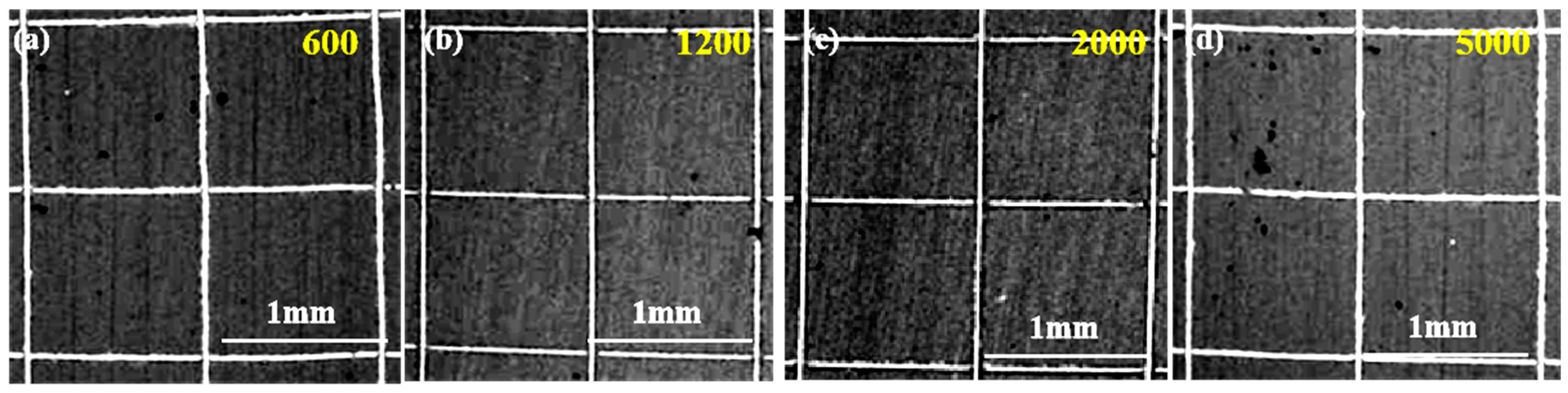 Coatings 13 00724 g006