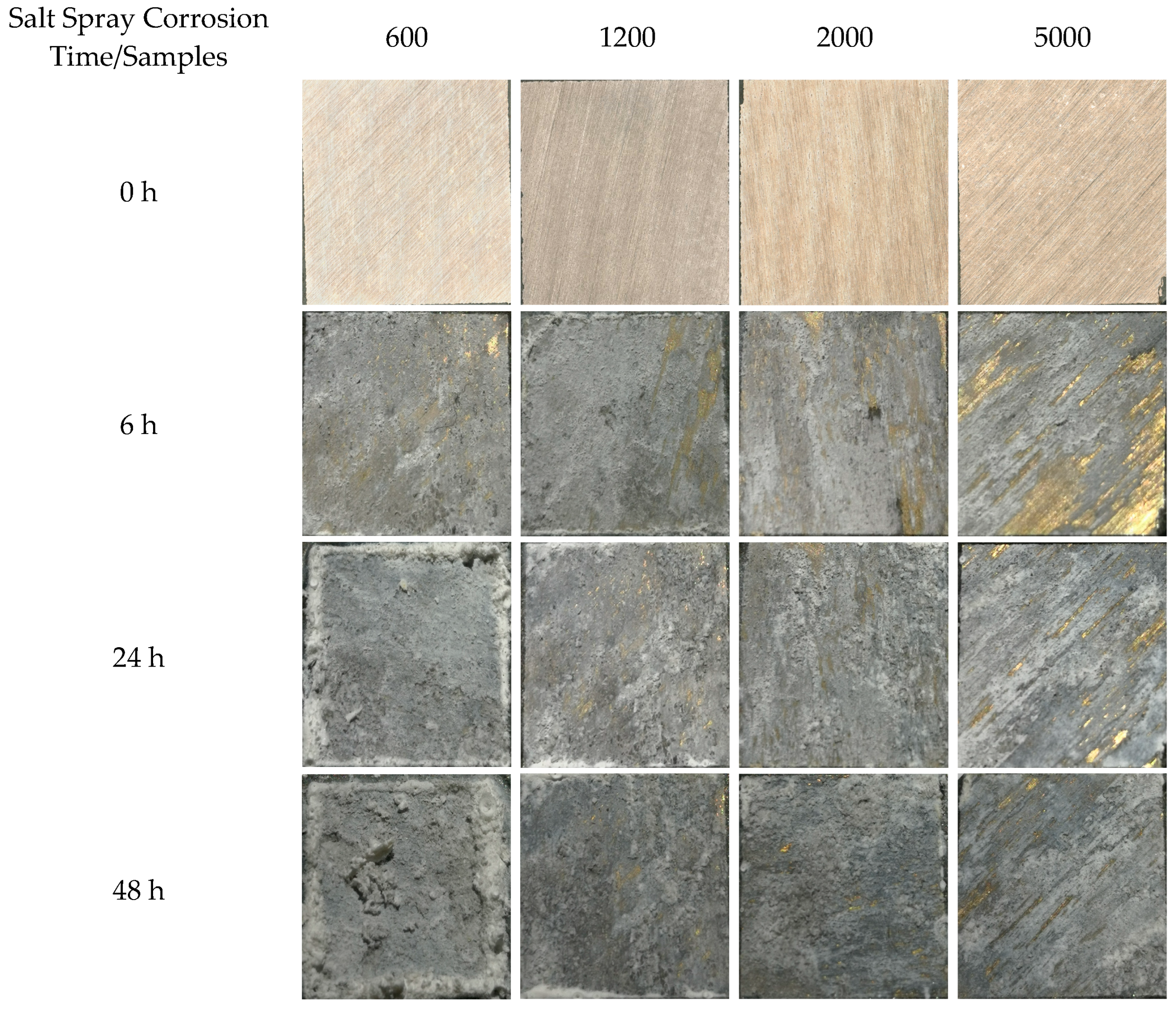 Coatings 13 00724 g009