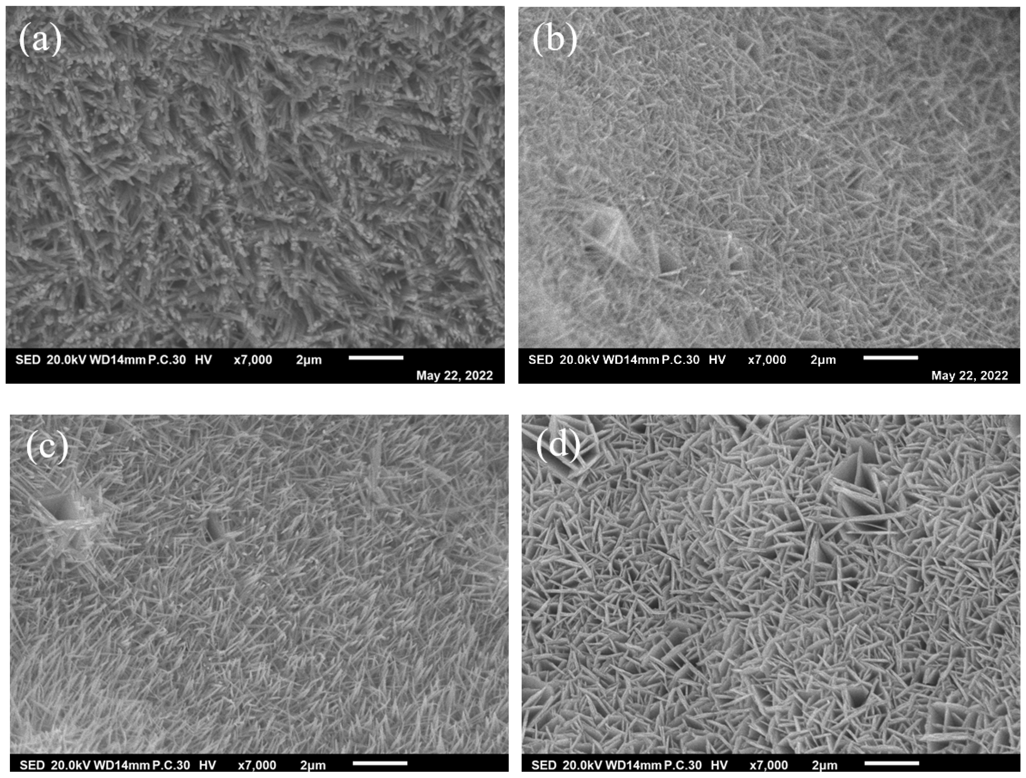 Coatings 13 00726 g002