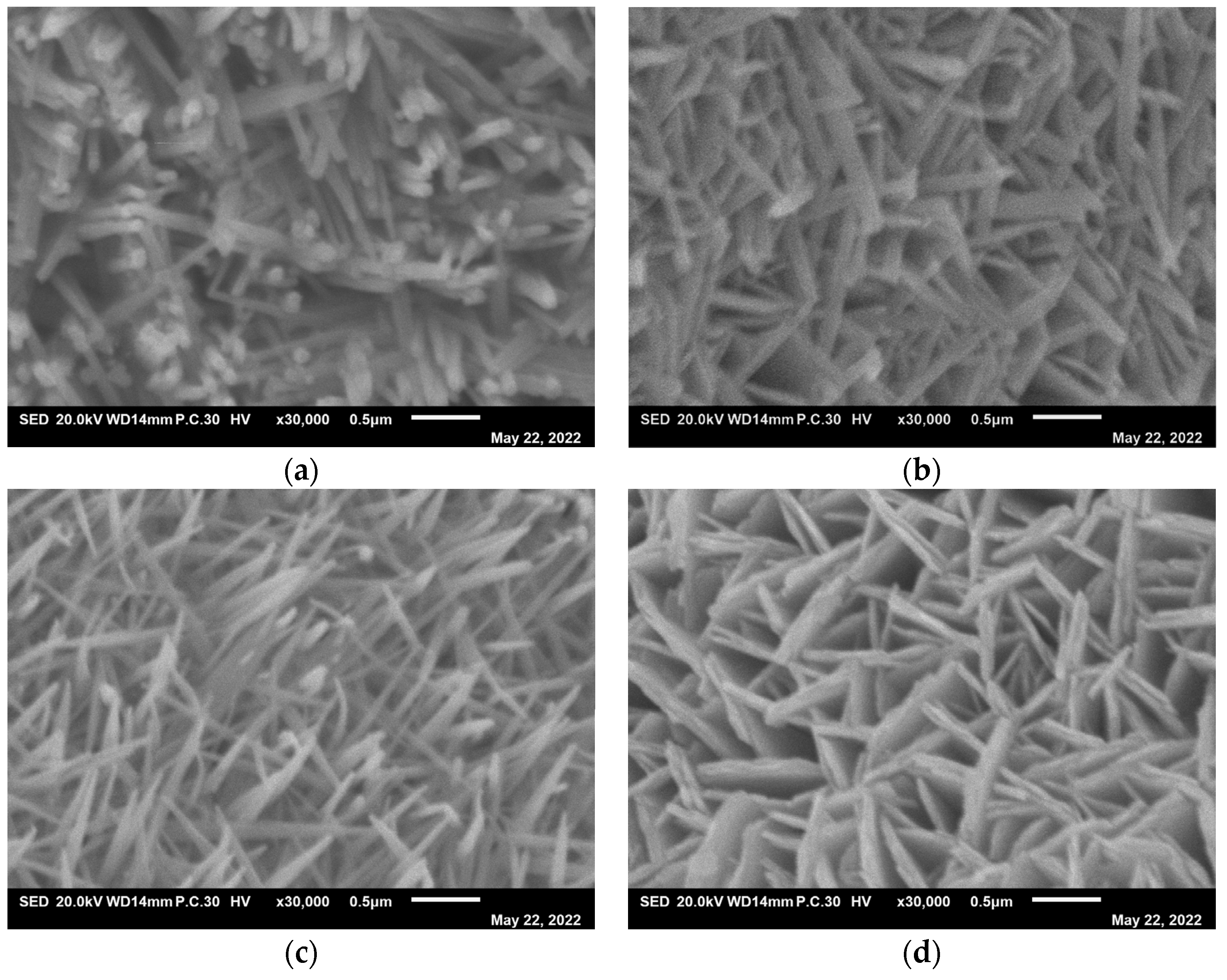 Coatings 13 00726 g003