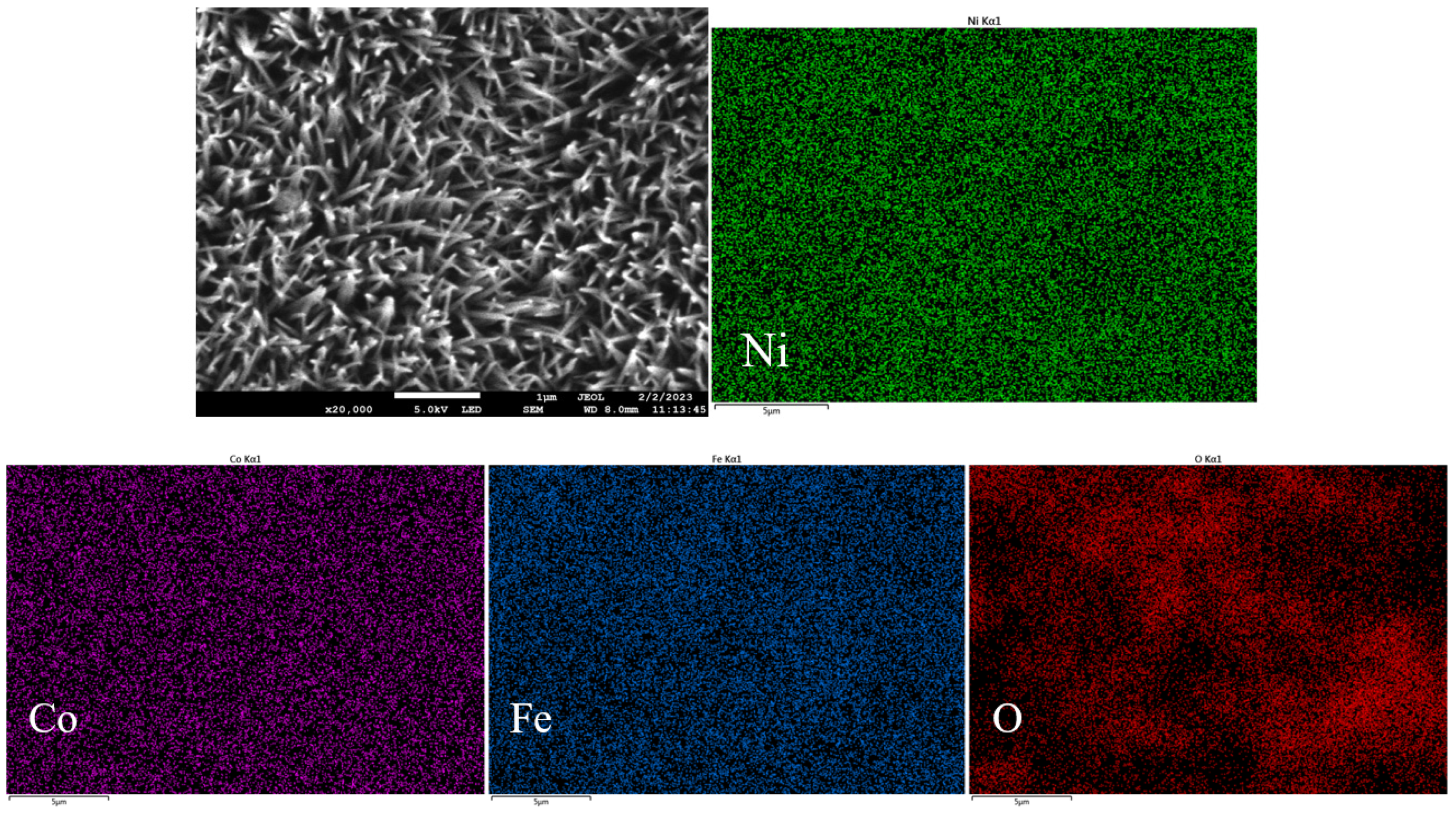Coatings 13 00726 g004