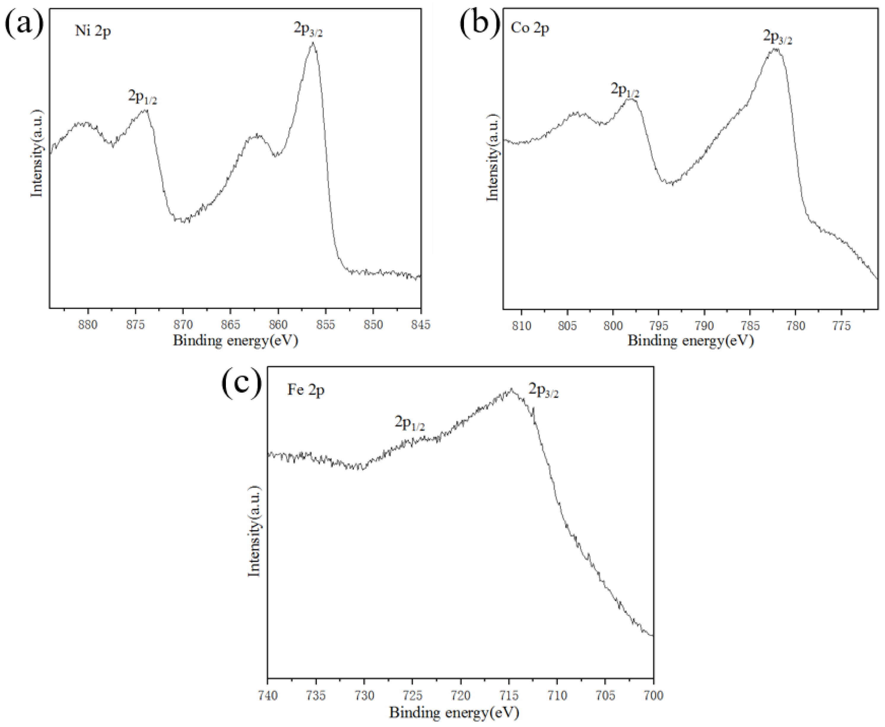 Coatings 13 00726 g006