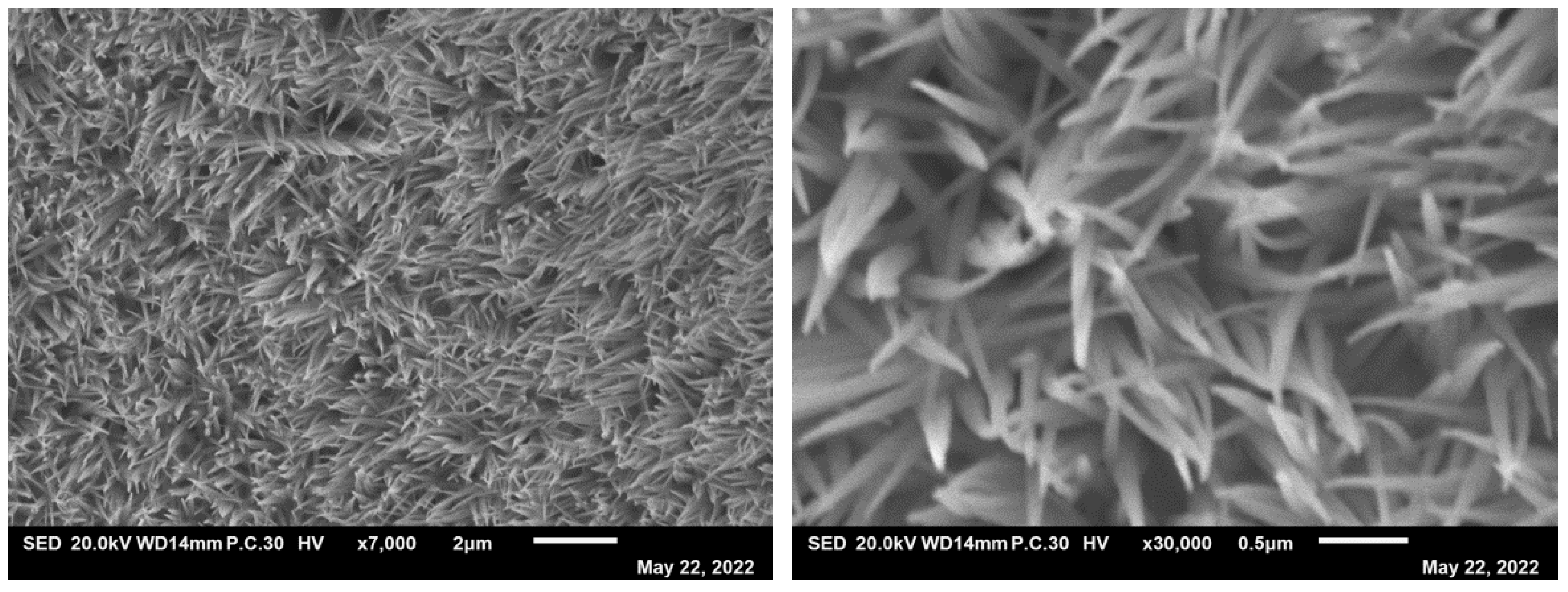 Coatings 13 00726 g011