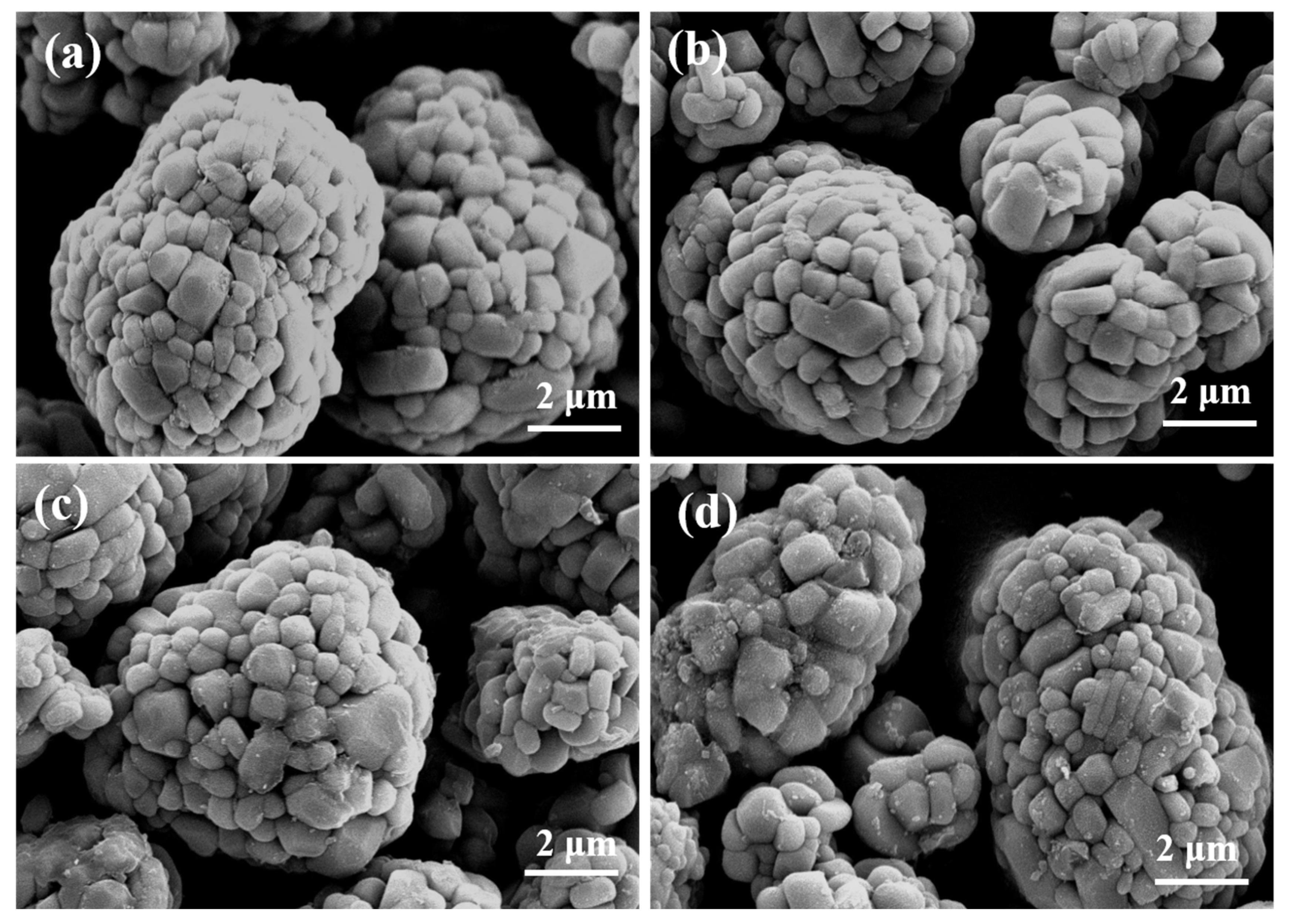 Coatings 13 00727 g003