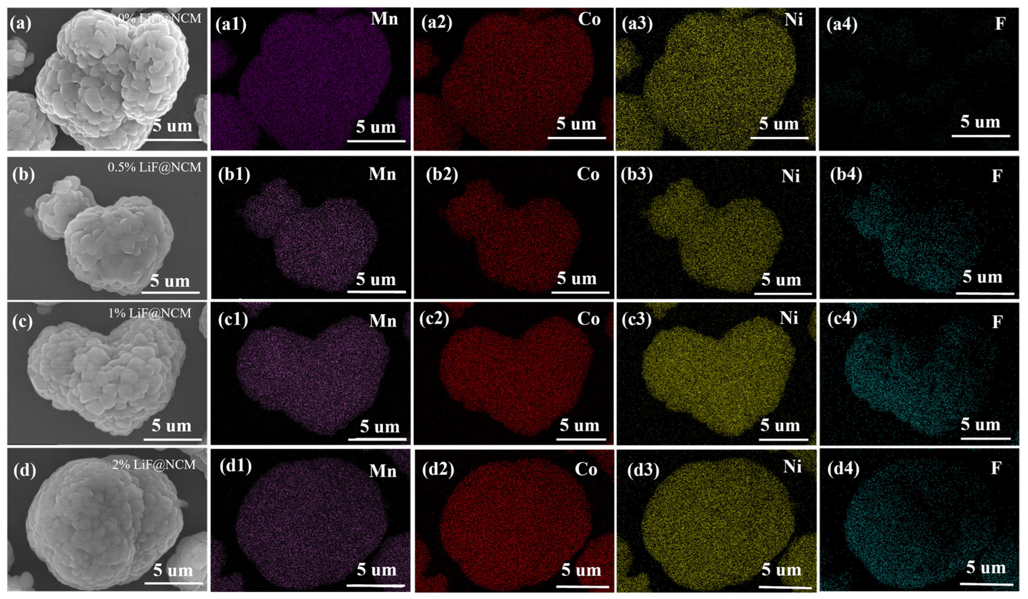 Coatings 13 00727 g004