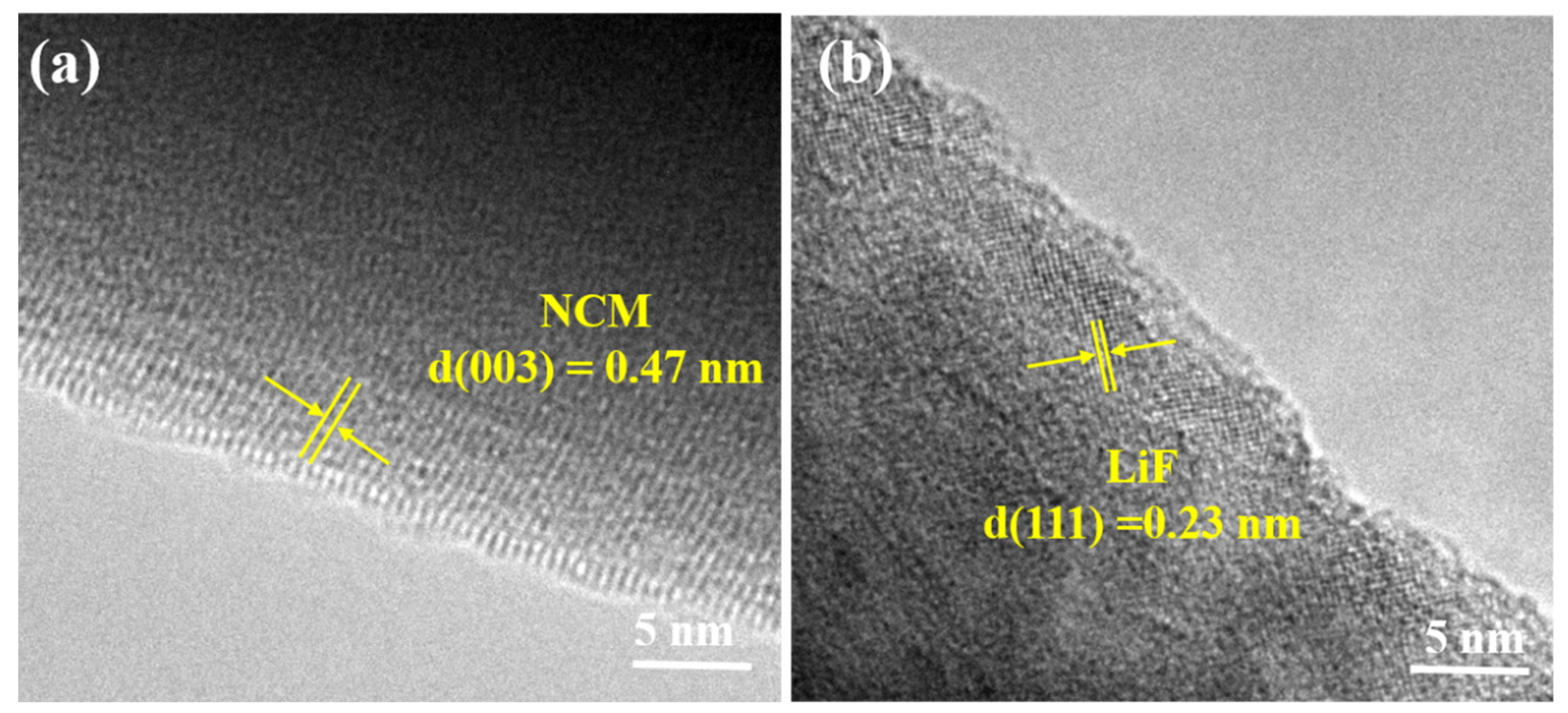 Coatings 13 00727 g005