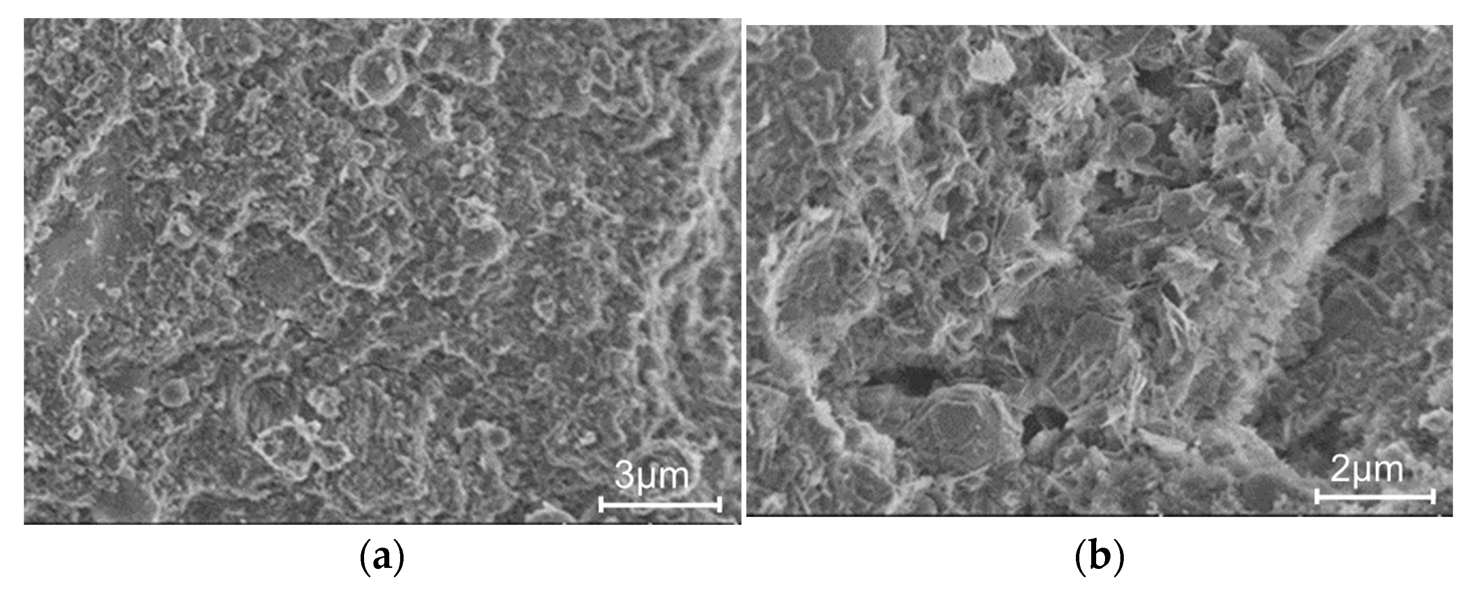 Coatings 13 00729 g013