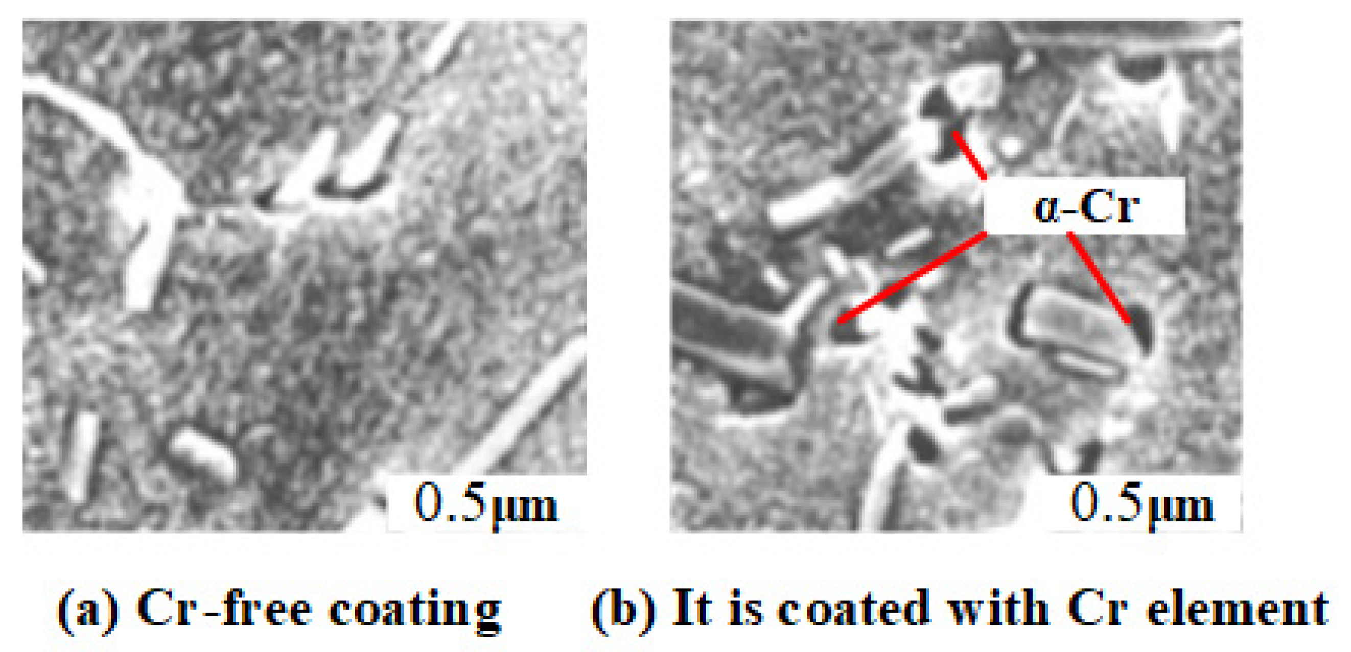 Coatings 13 00731 g003