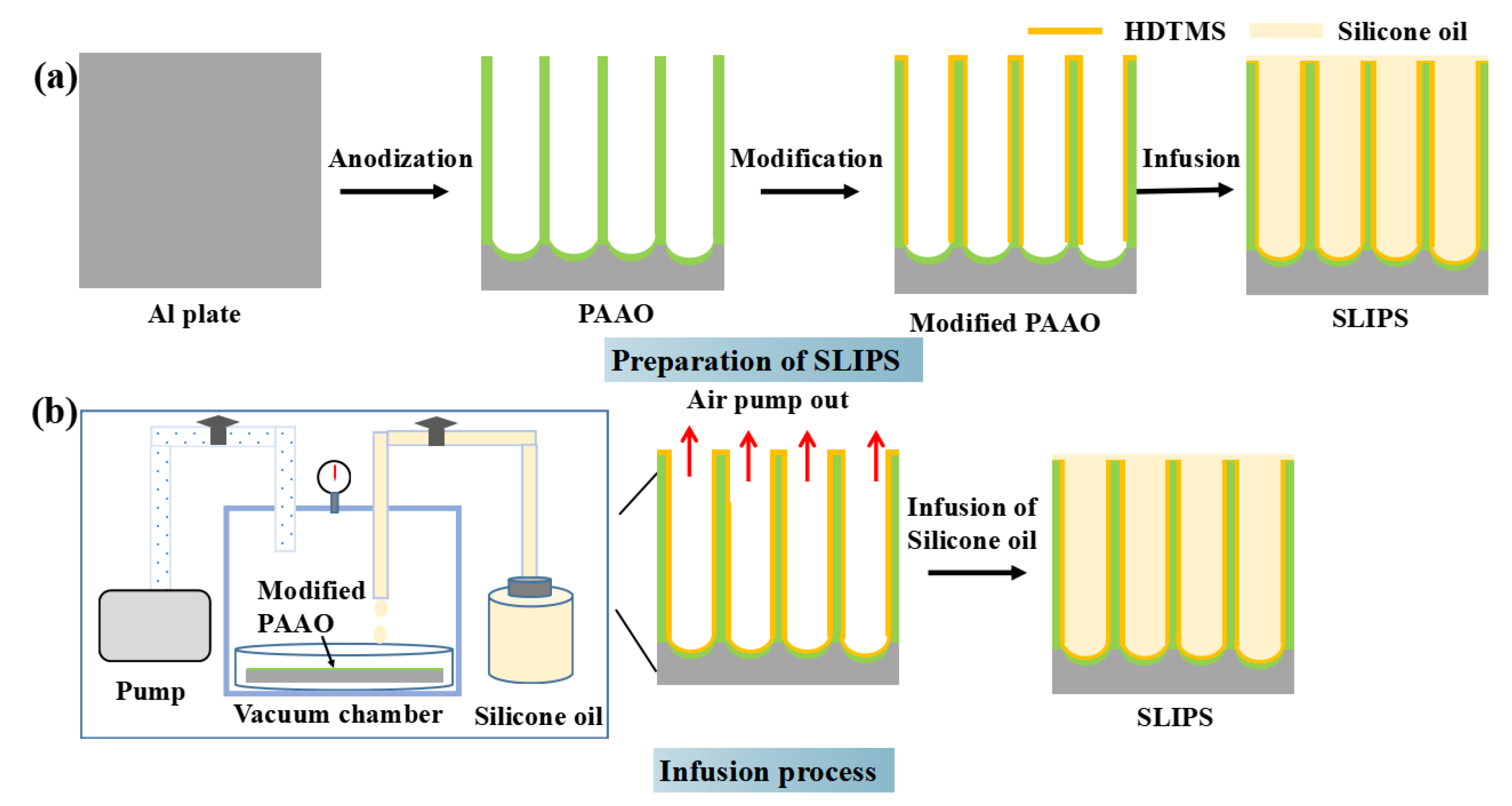 Coatings 13 00732 g001