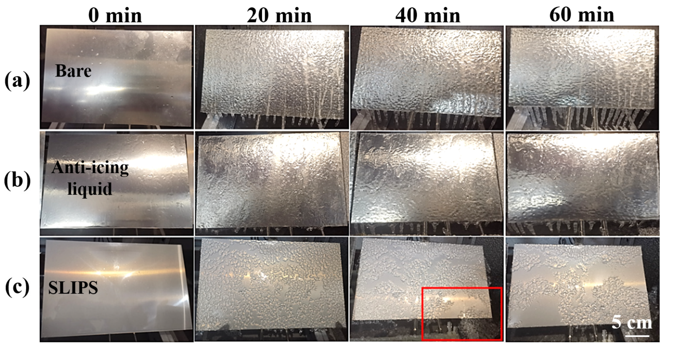 Coatings 13 00732 g008