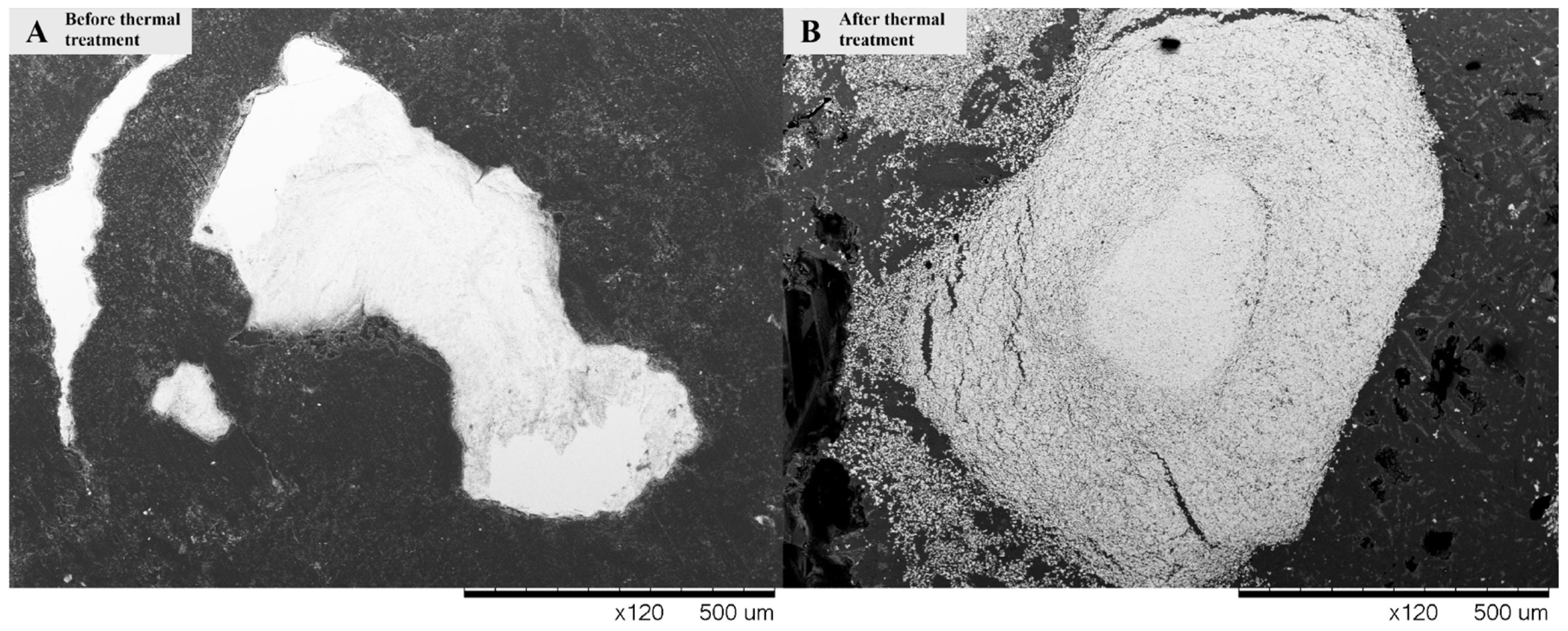 Coatings 13 00734 g001