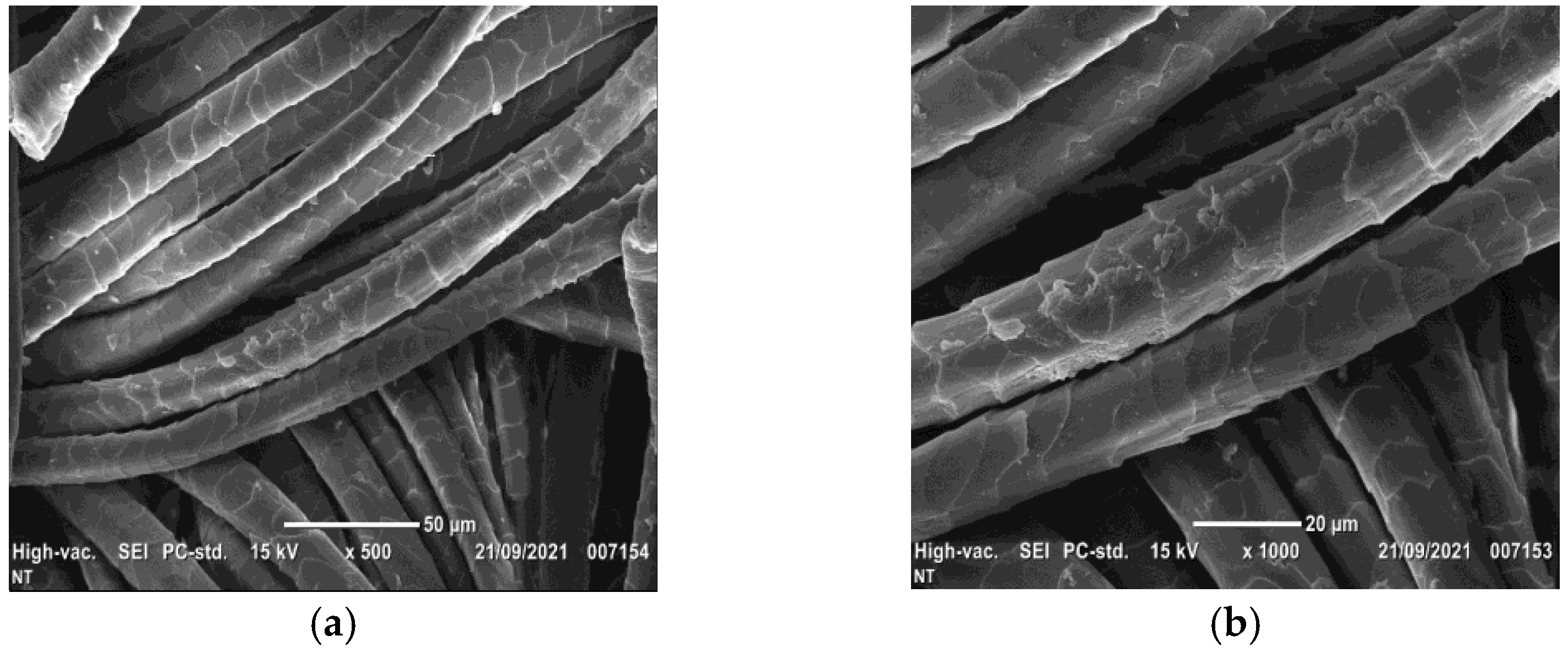 Coatings 13 00736 g005