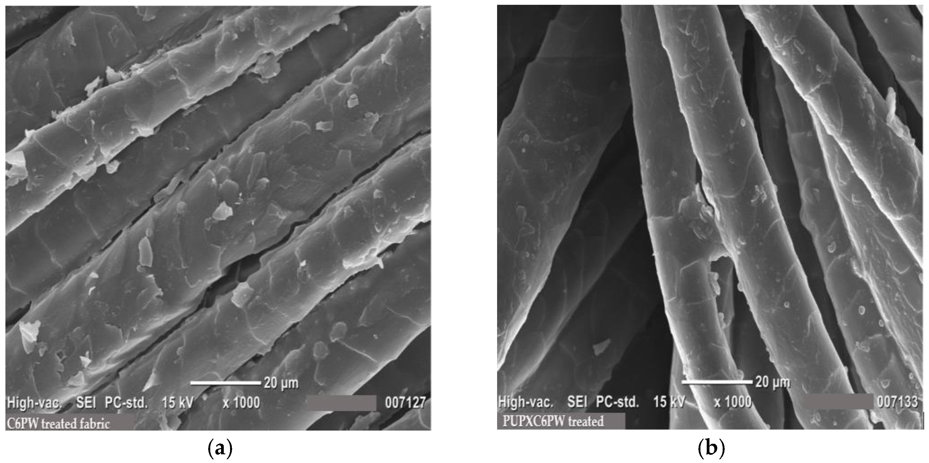 Coatings 13 00736 g007