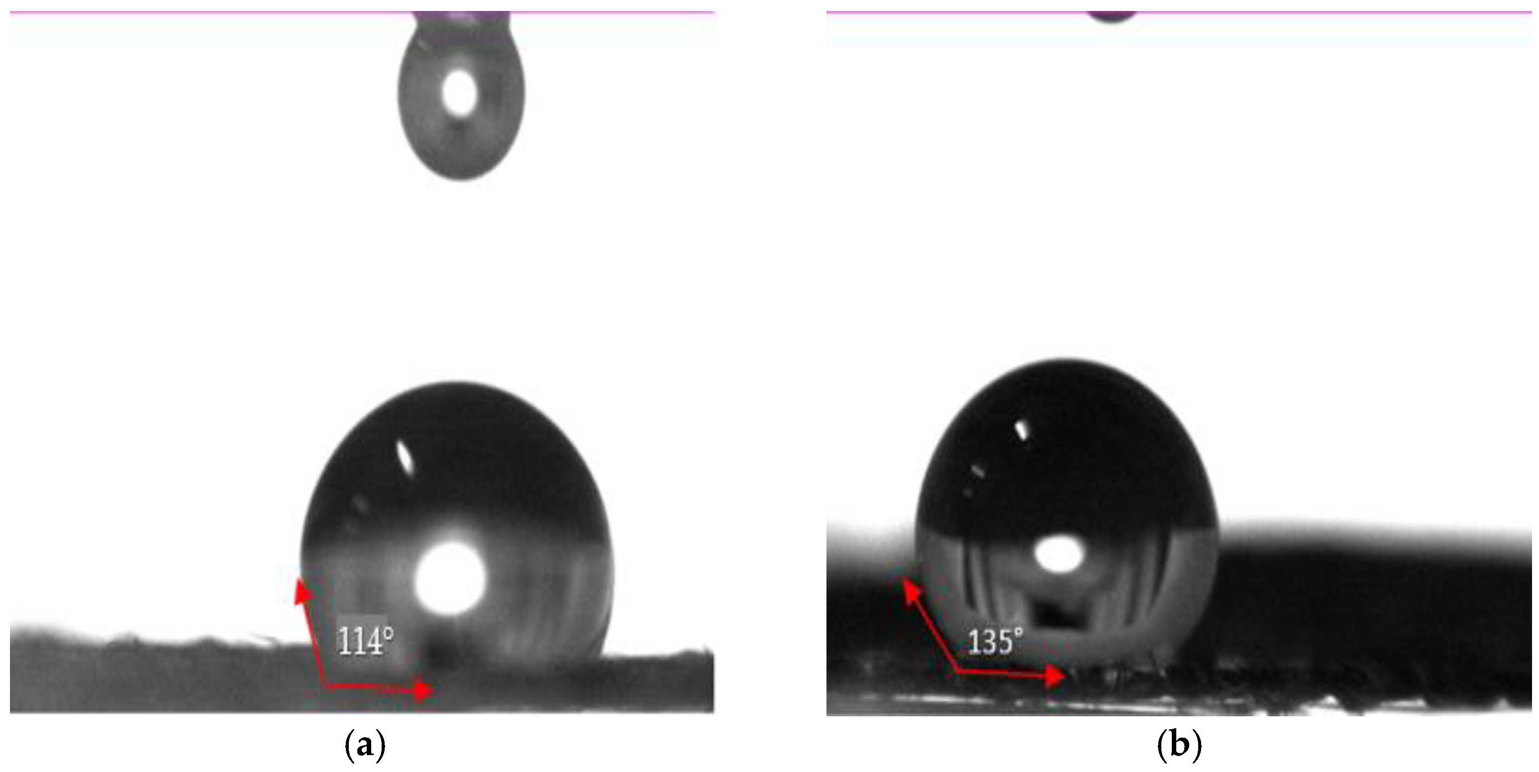Coatings 13 00736 g008