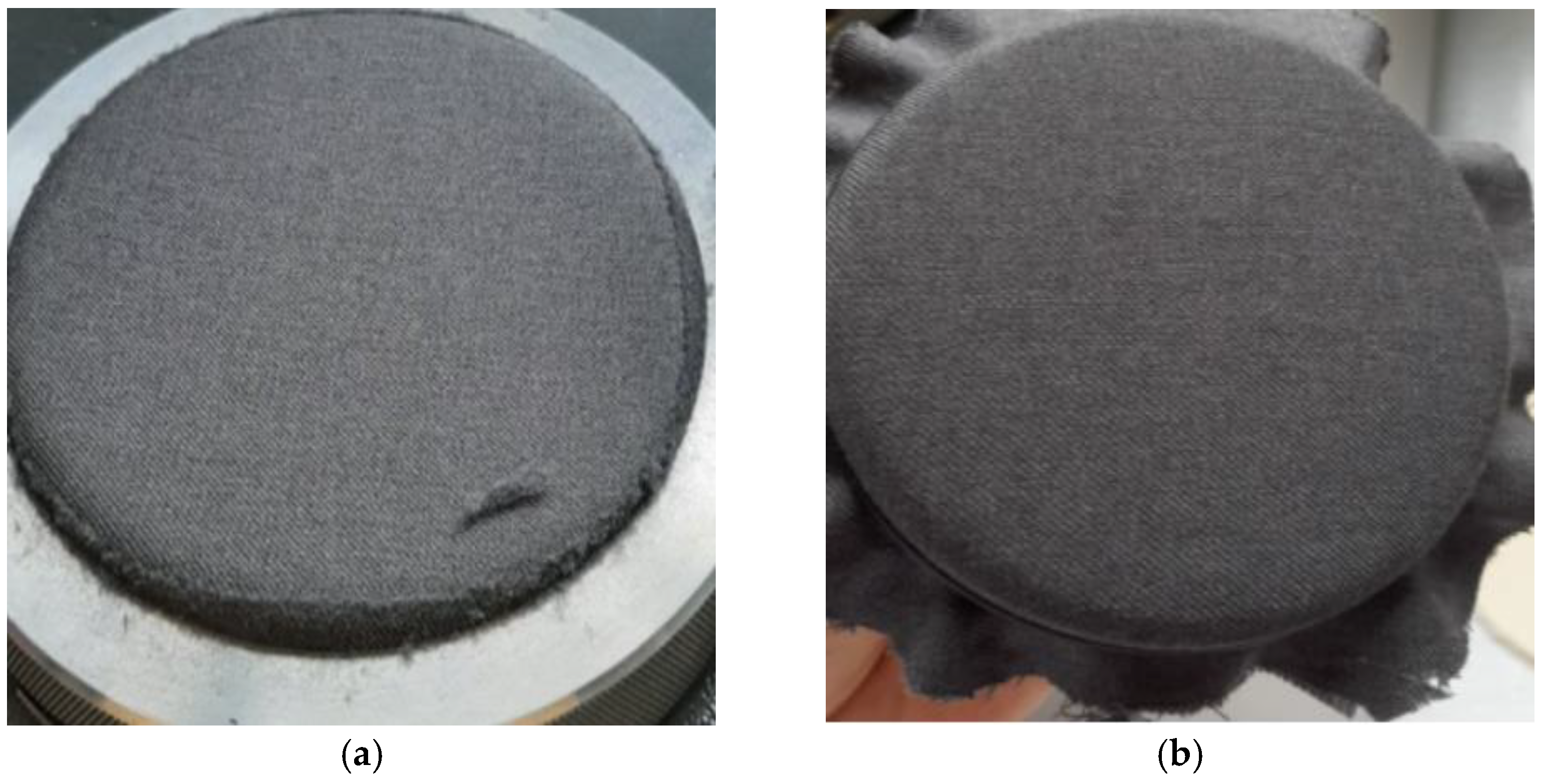 Coatings 13 00736 g010