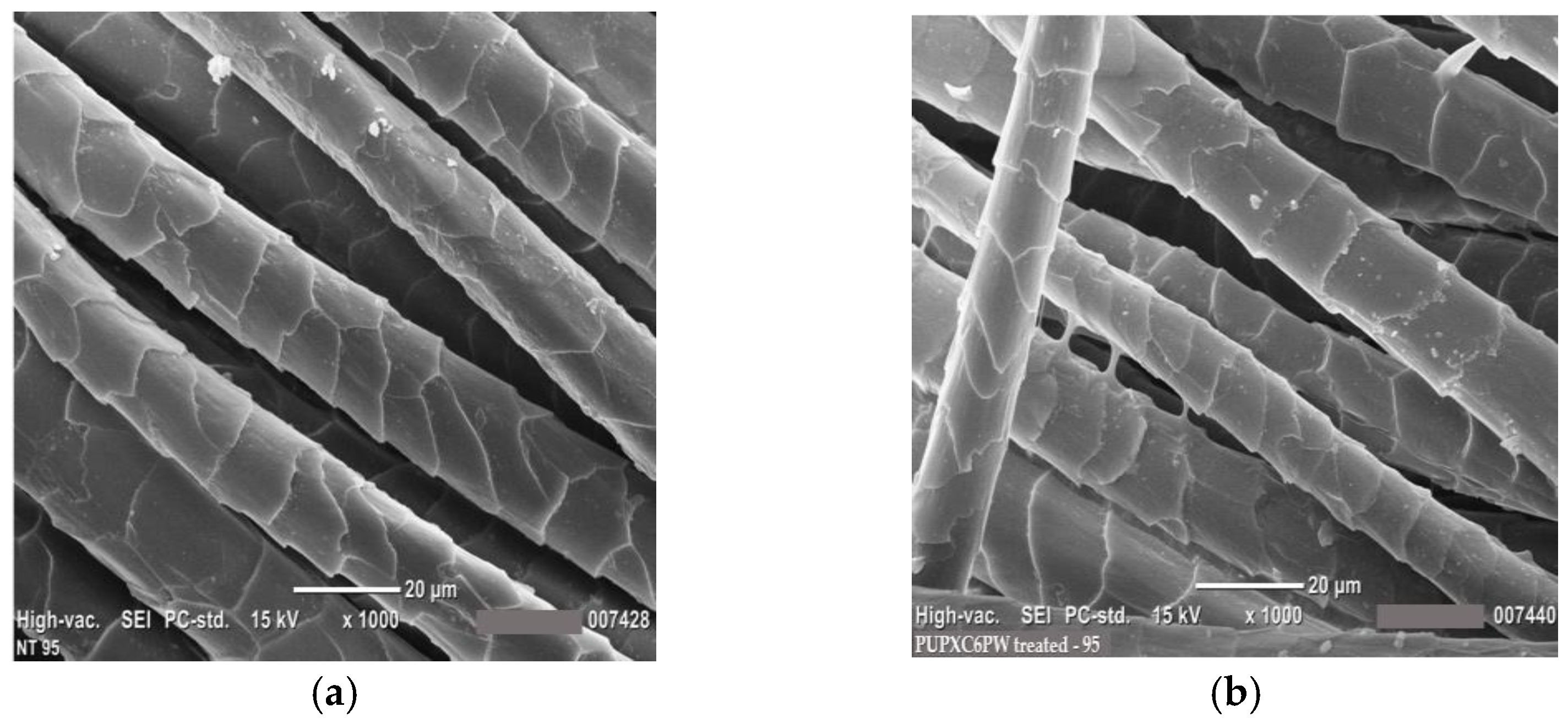 Coatings 13 00736 g013