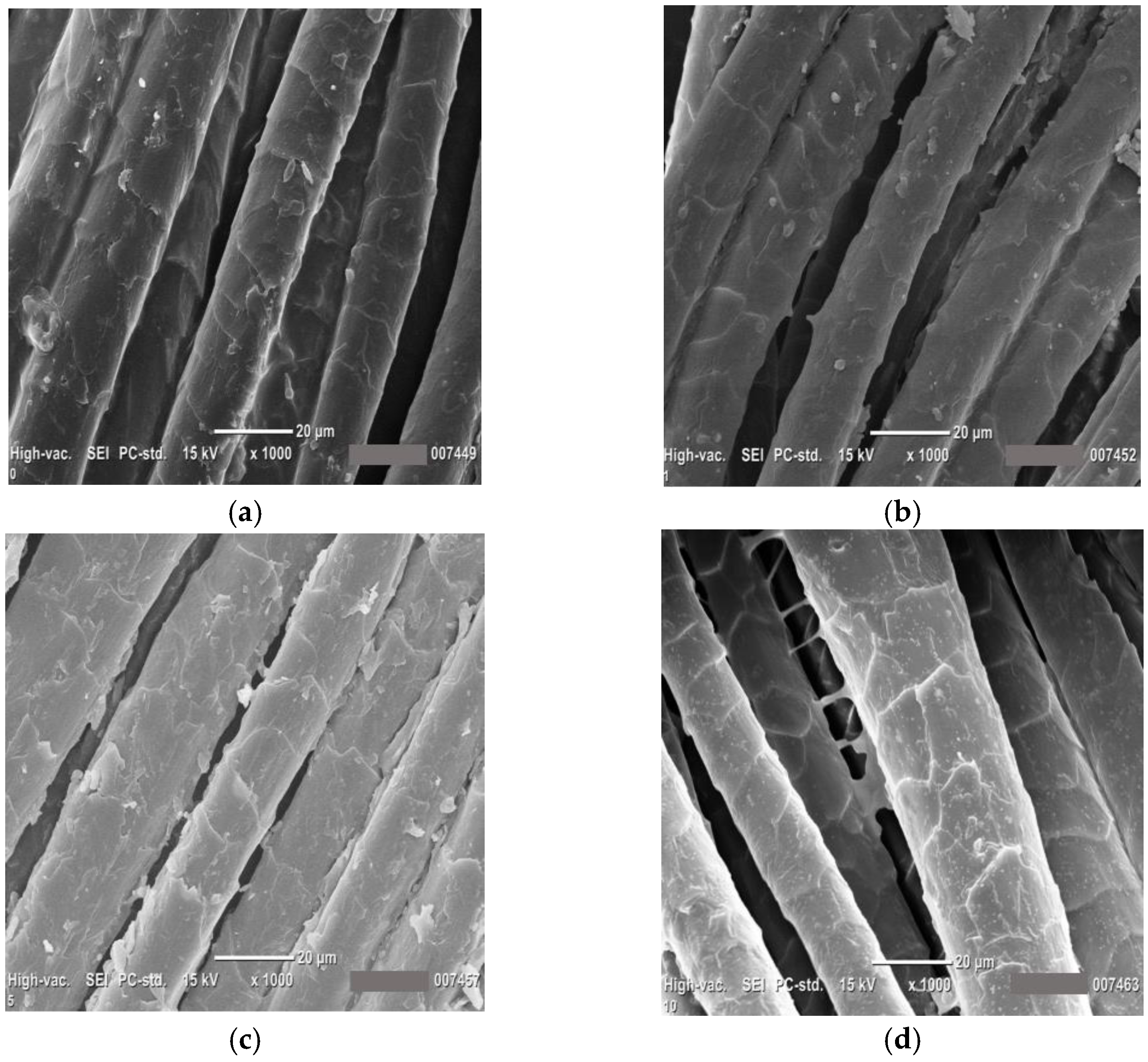 Coatings 13 00736 g016