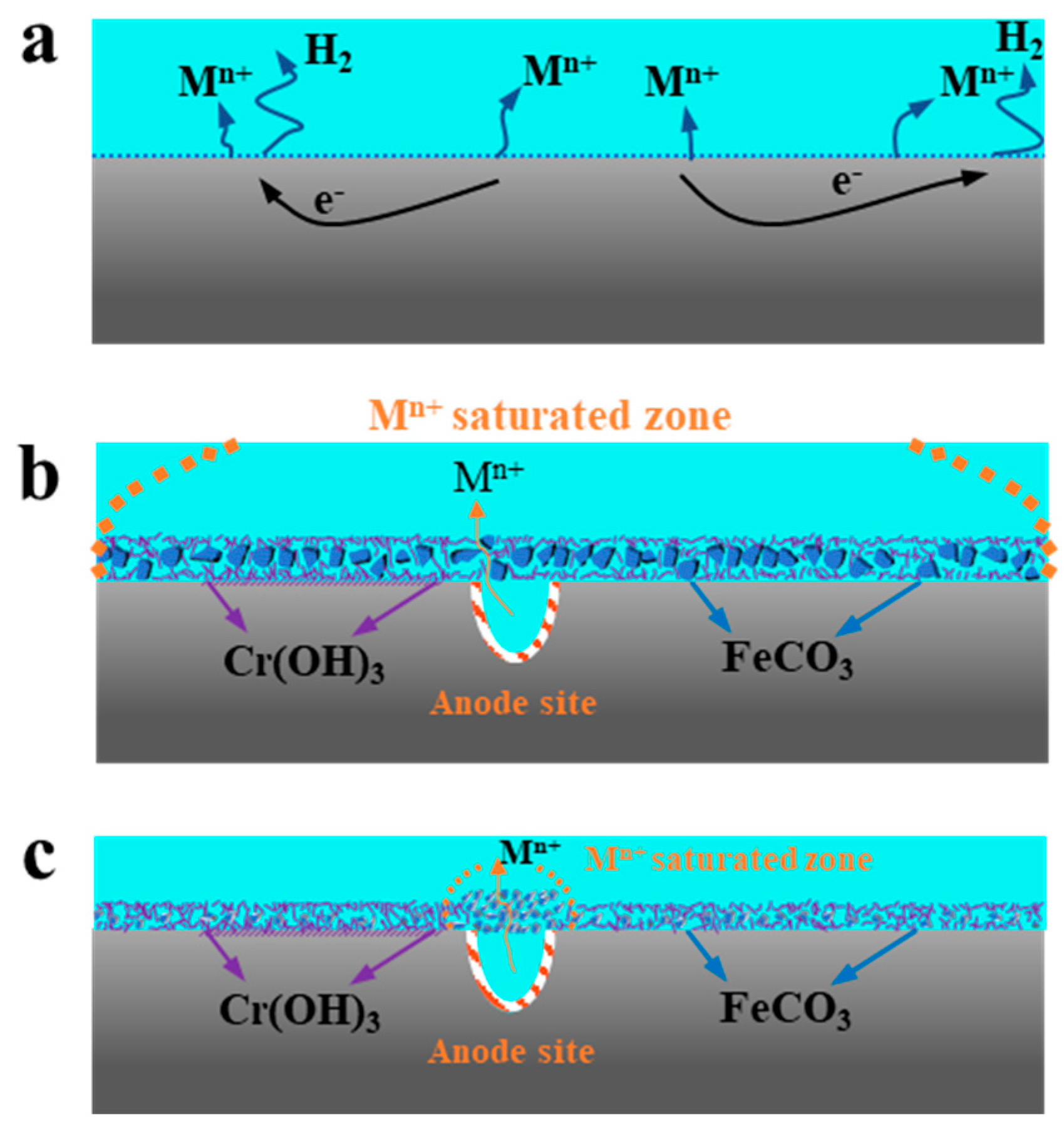 Coatings 13 00737 g013