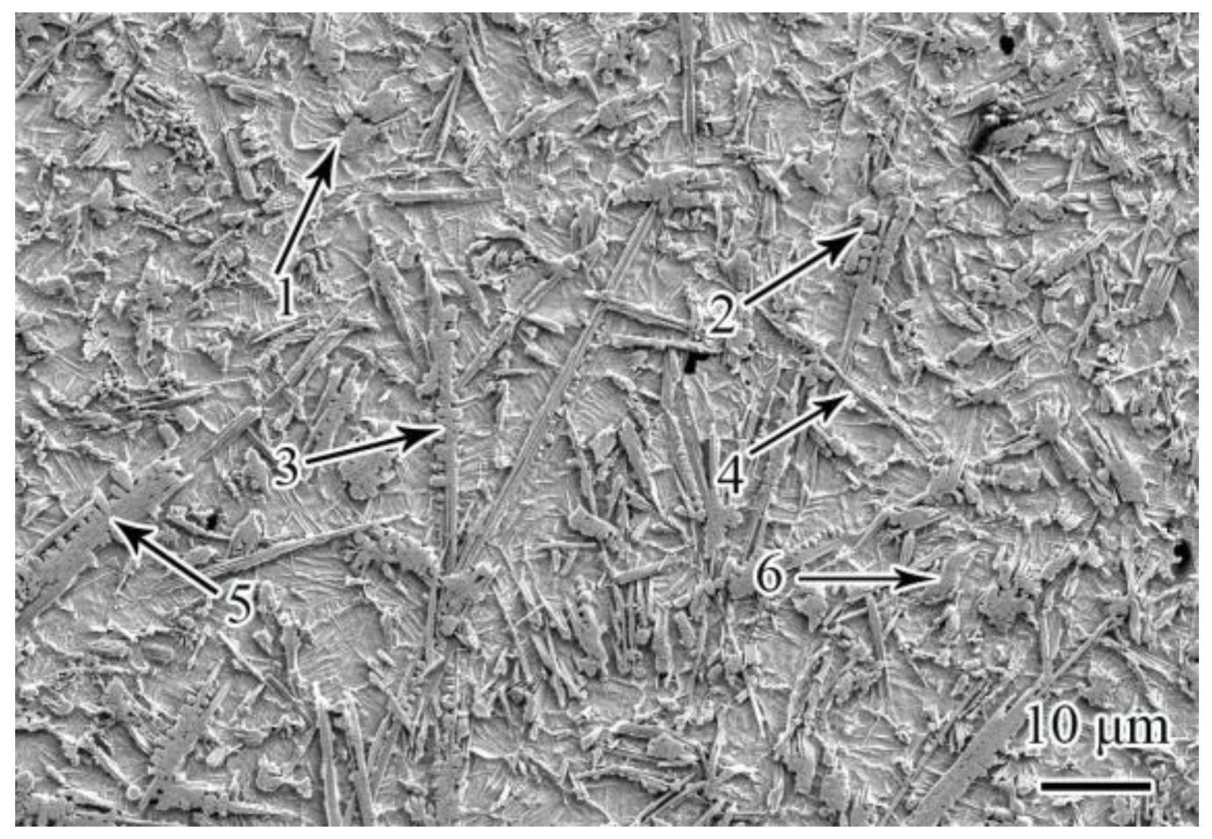 Coatings 13 00743 g005