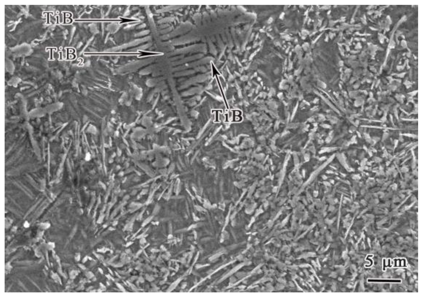 Coatings 13 00743 g006