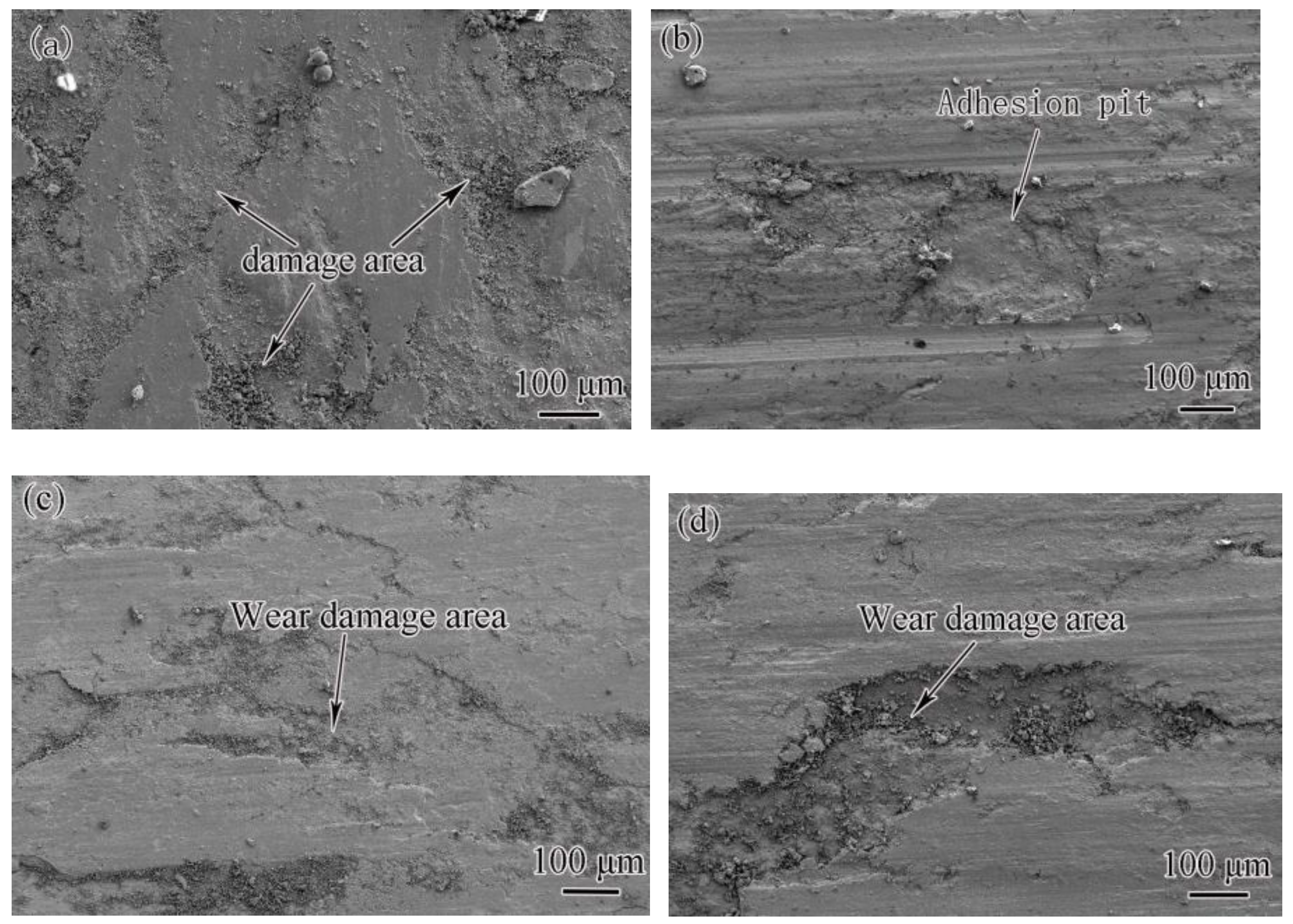 Coatings 13 00743 g012