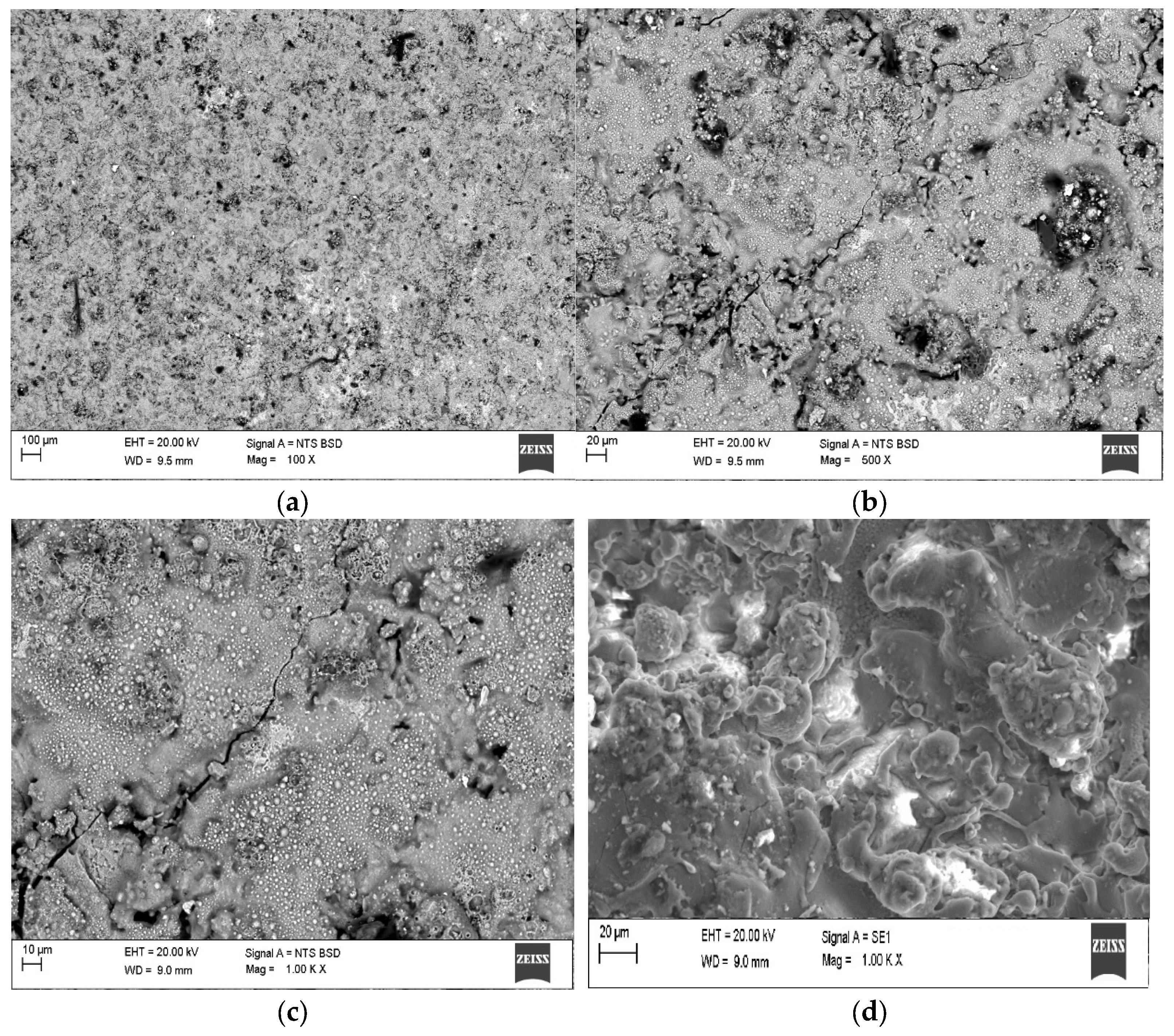 Coatings 13 00744 g002 Coatings 13 00744 g002