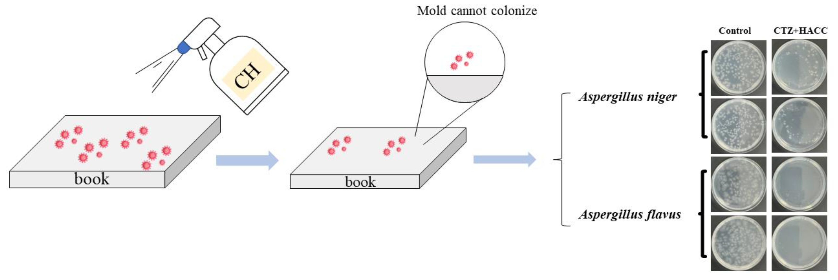 Coatings 13 00745 g001