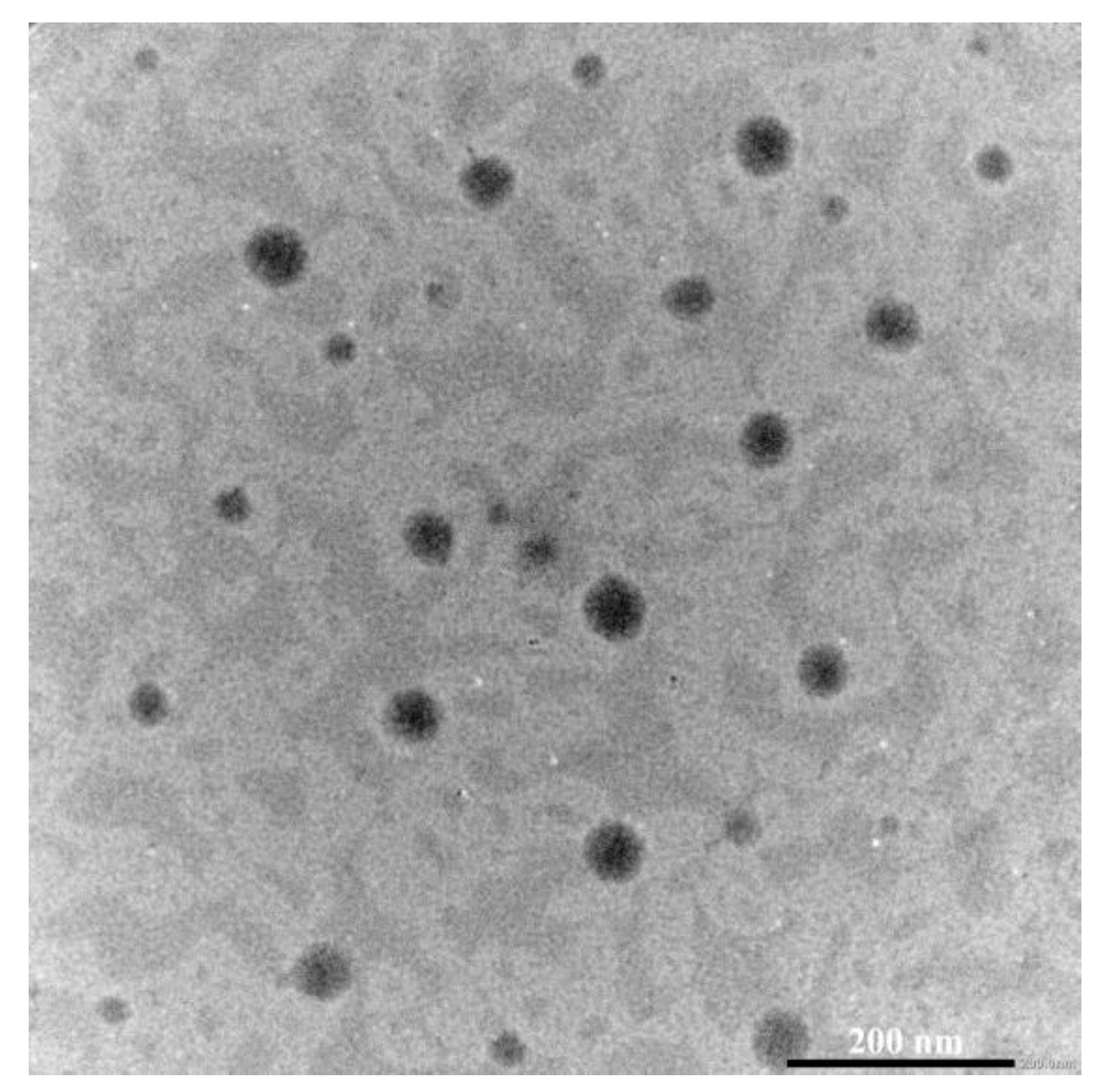 Coatings 13 00745 g006