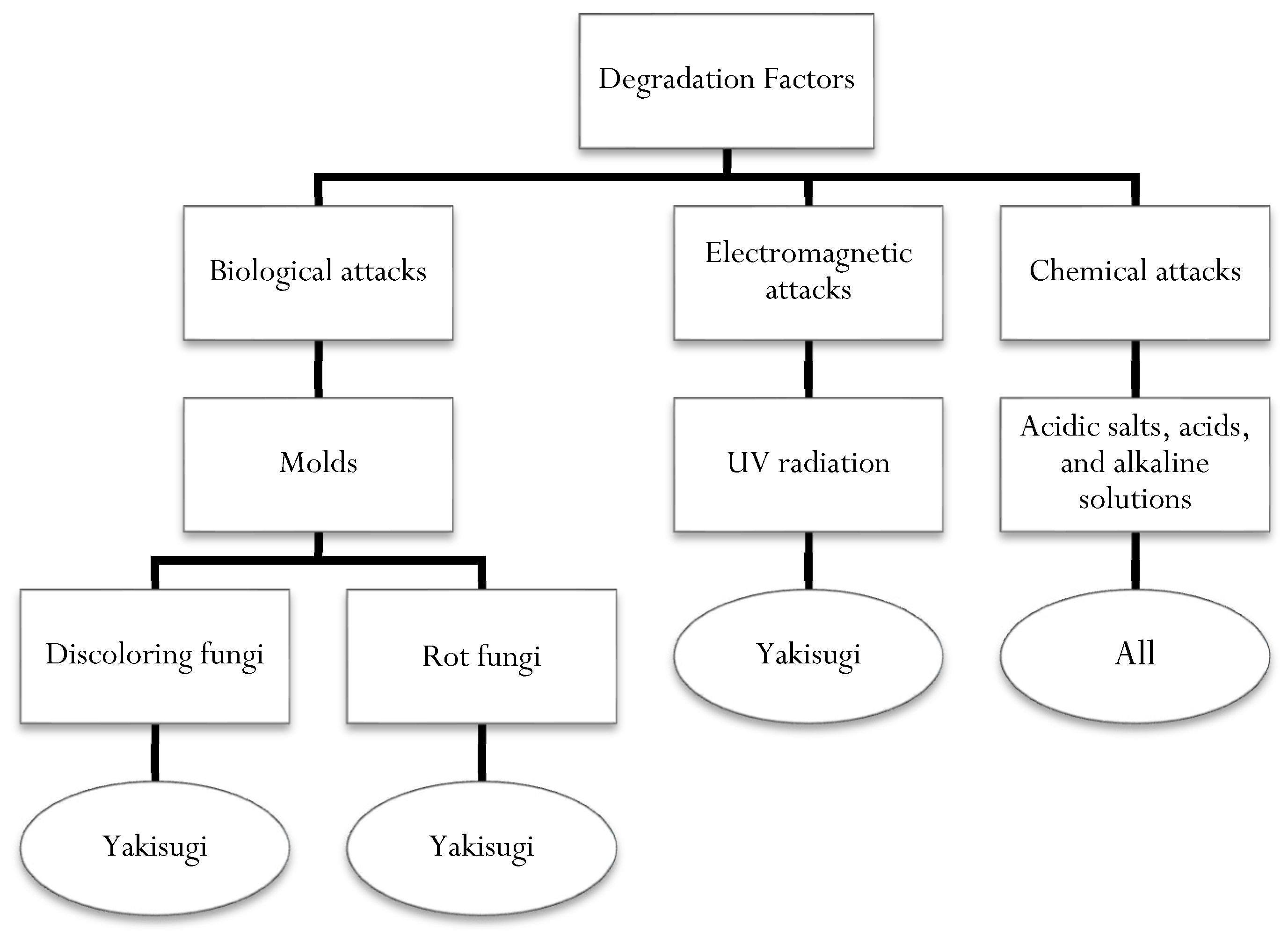 Coatings 13 00746 g002